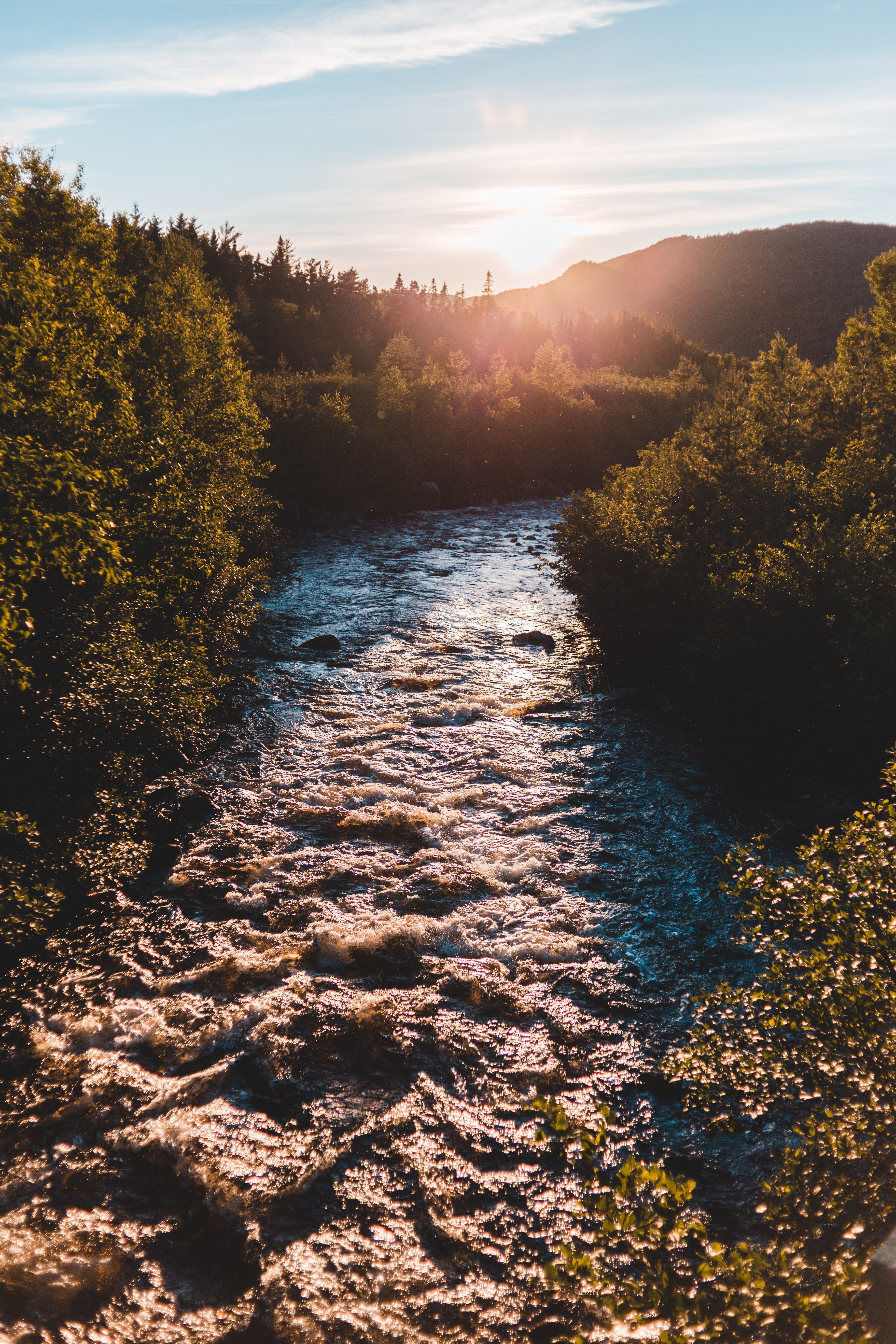 Shallow river surrounded by savannah under cloudy sky · Free