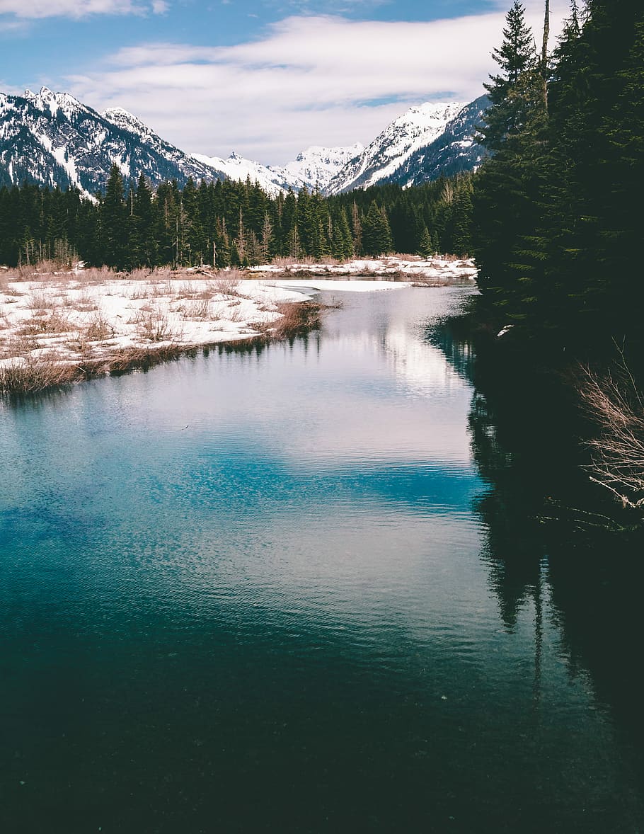 HD Wallpaper: Body Of Water Near Trees And Mountain, Bird's Eye Photography Of River In Forest