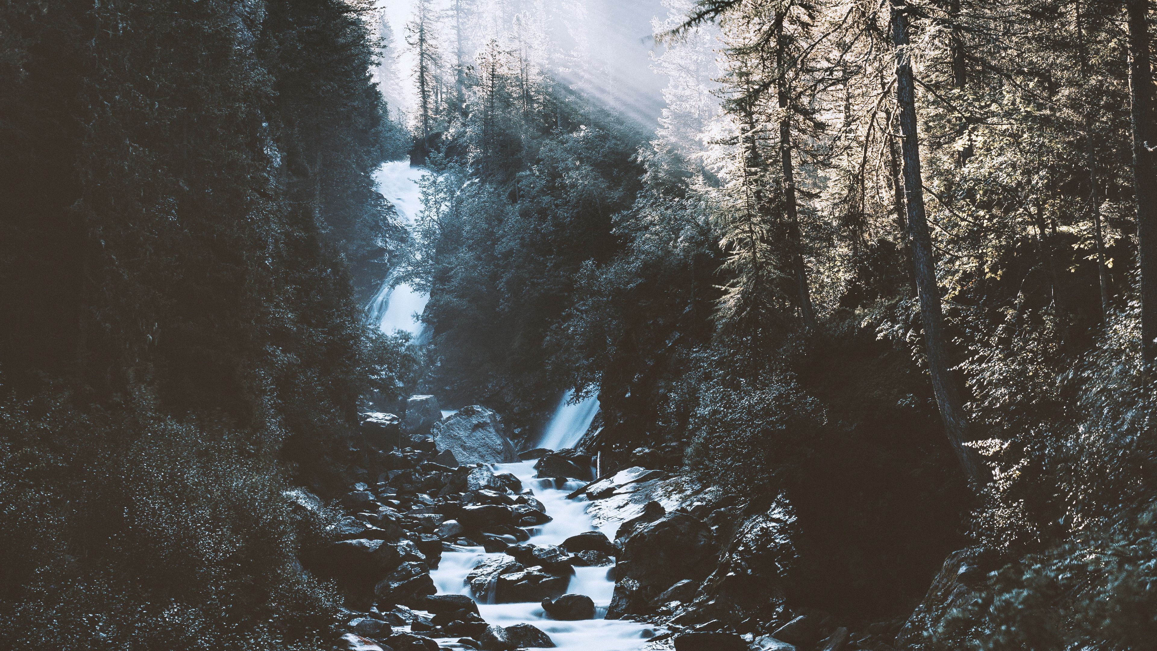 Wallpaper / river, forest, mountains, sunlight, landscape, morning, 4k free download