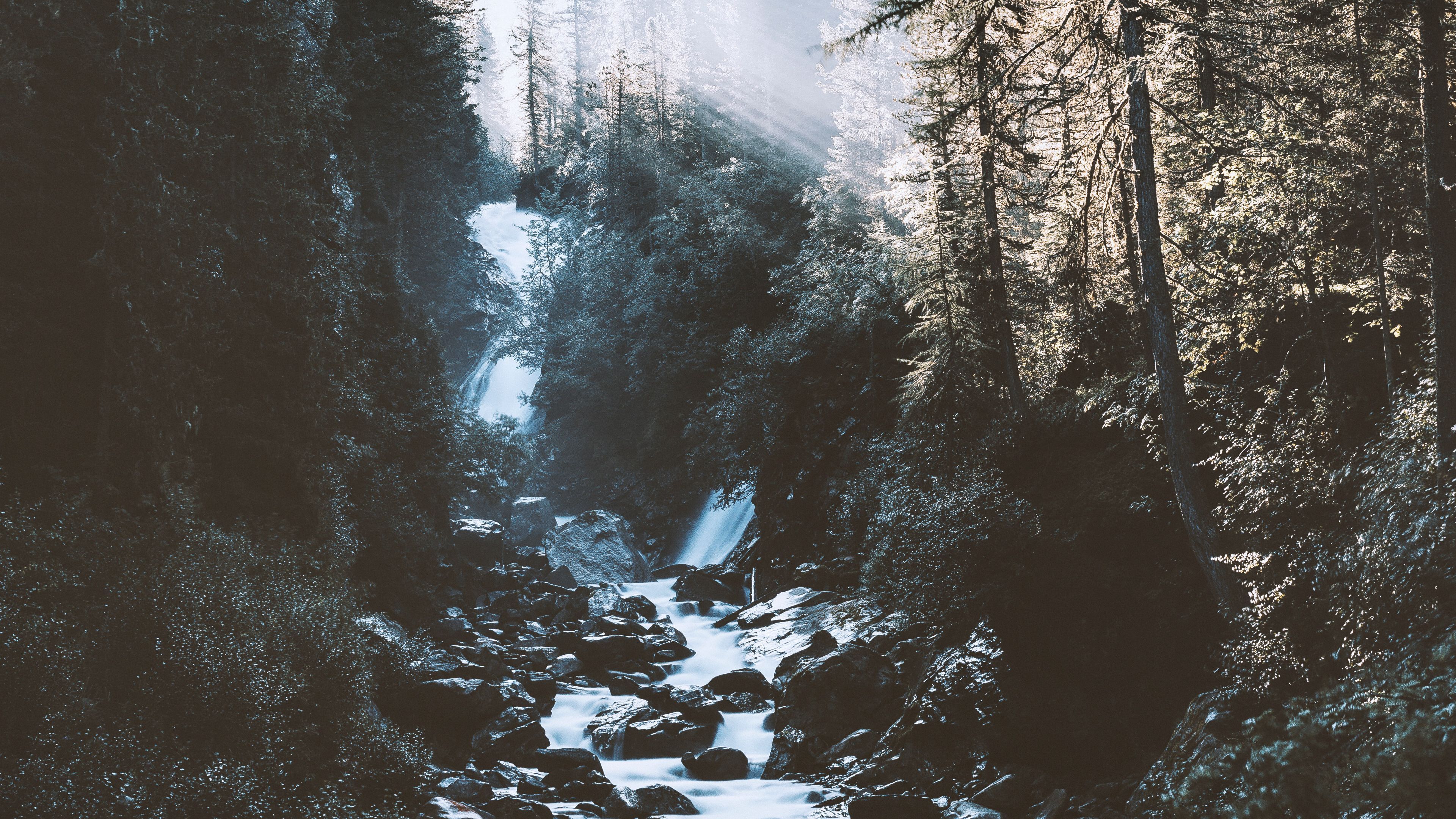 A river running through the forest - River