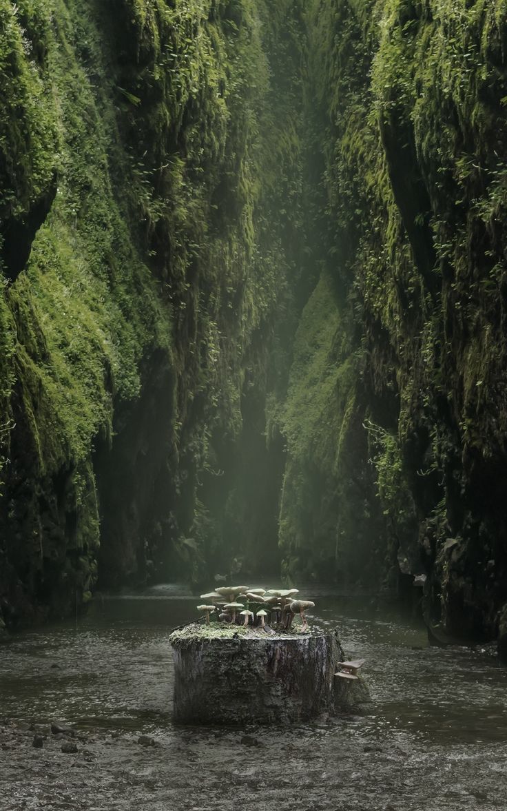 A boat floating down the river in an area with trees - River