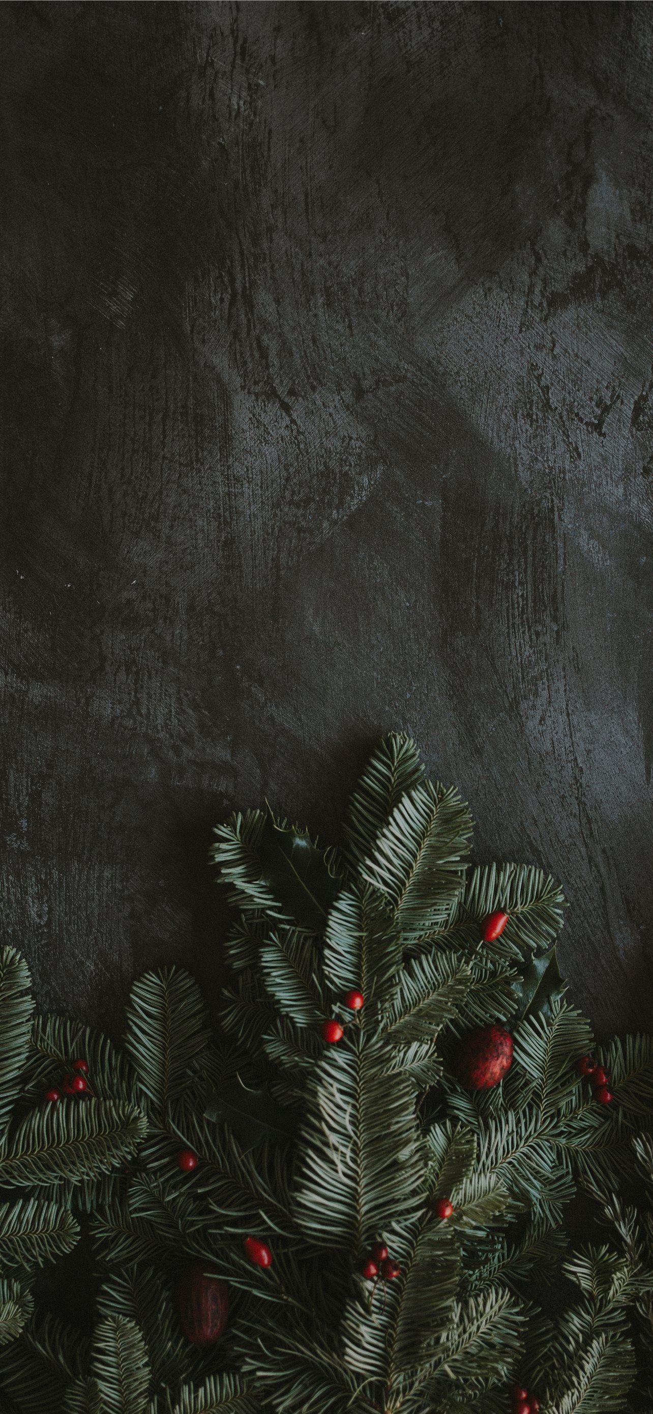 A dark and moody Christmas wallpaper with a pine branch - Christmas iPhone