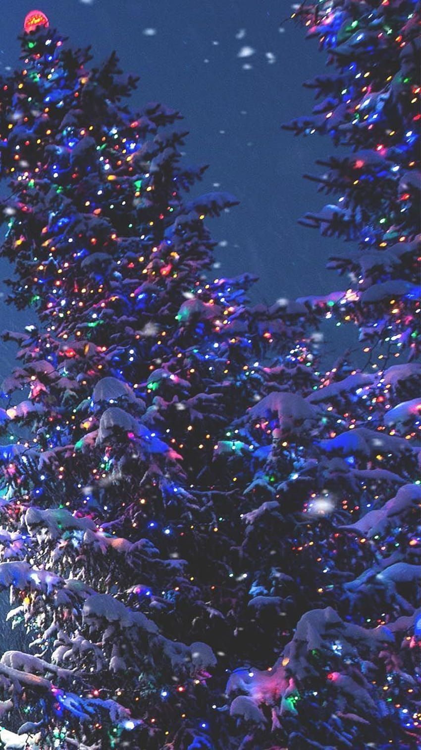A snowy Christmas tree with colorful lights - Christmas iPhone