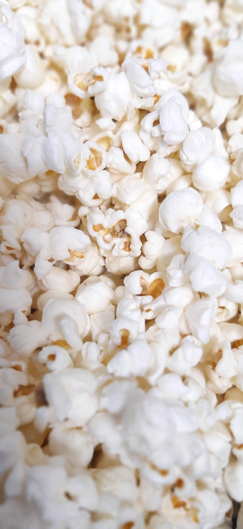 Popcorn Picture. Download Free Image