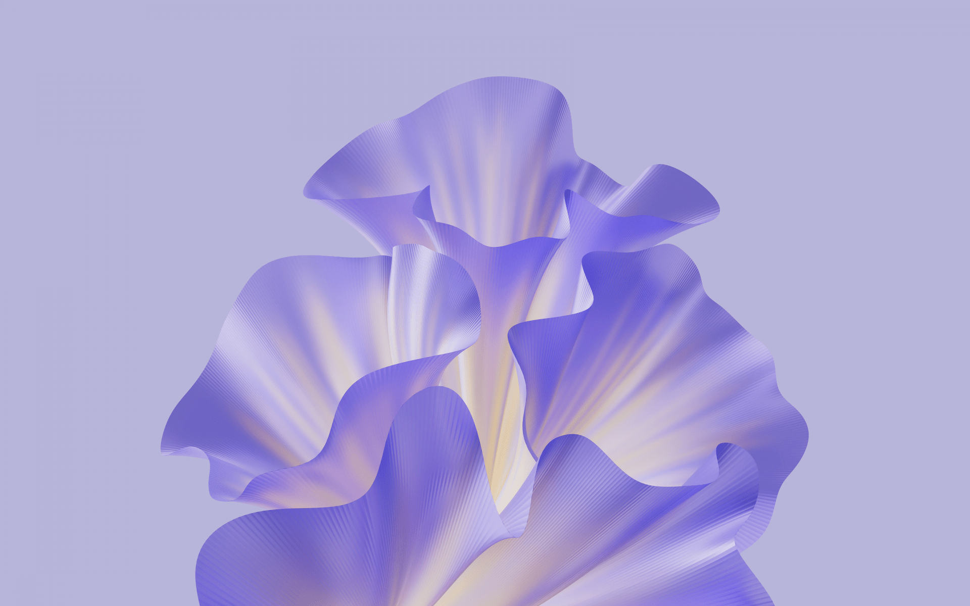 A very abstract image of a flower in a very light purple color. - 1920x1200