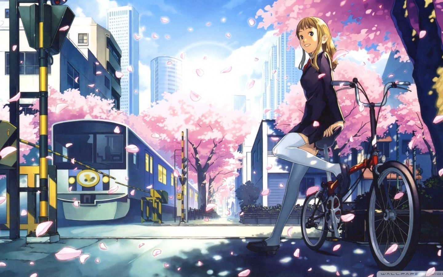 Anime girl on the bike at the crossing Desktop wallpaper 1440x900