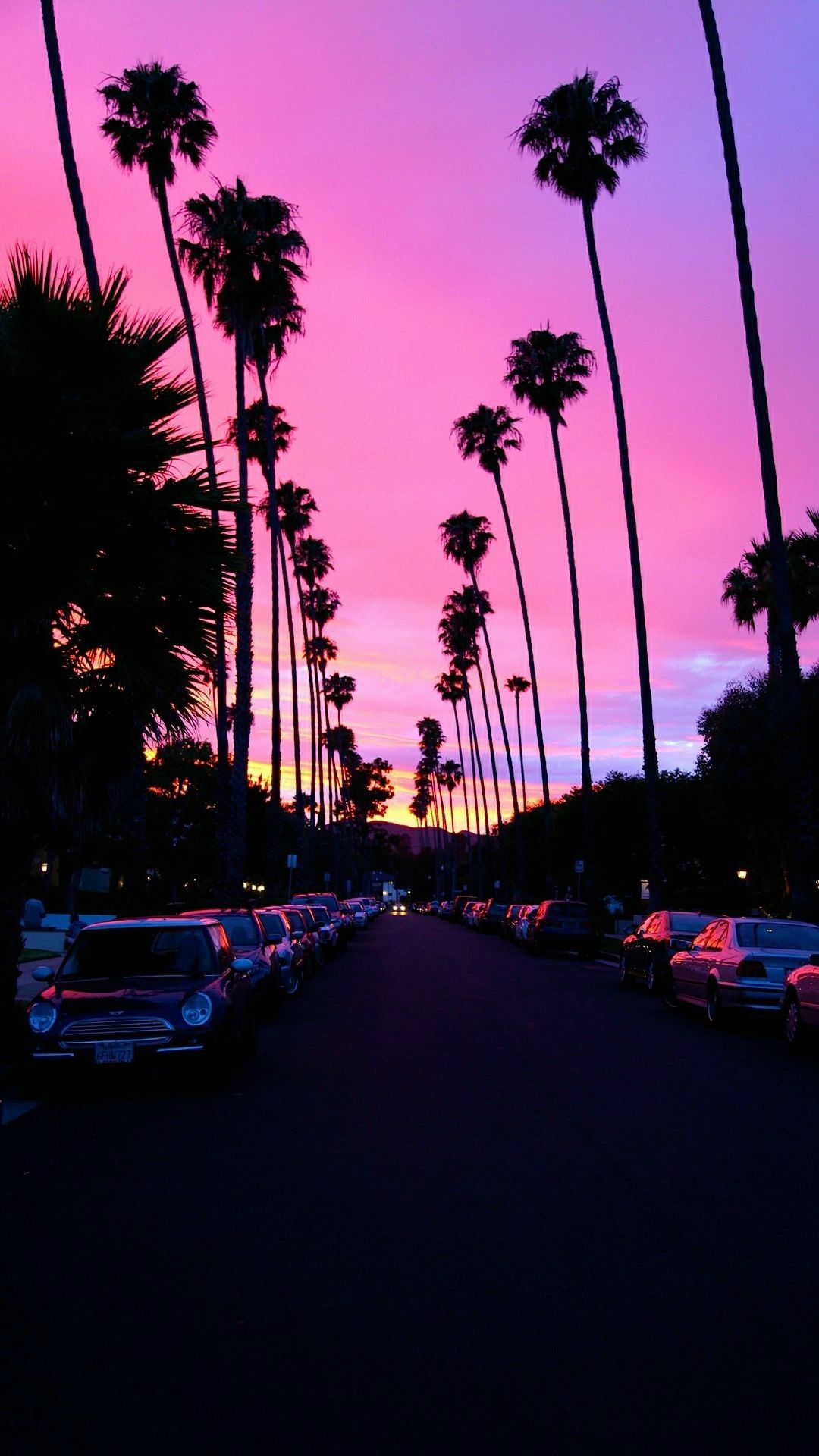 A street with palm trees and cars on it - Los Angeles