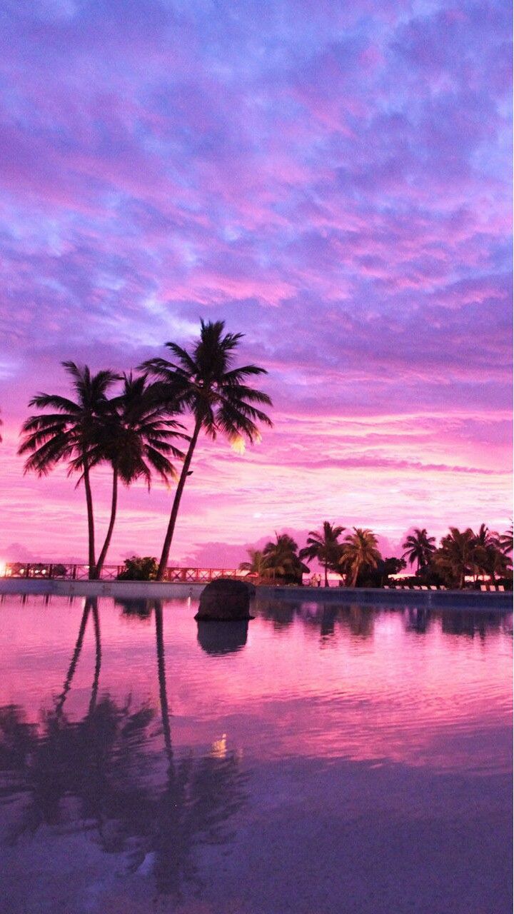 A pink and purple sunset over a pool with palm trees. - Android, lavender