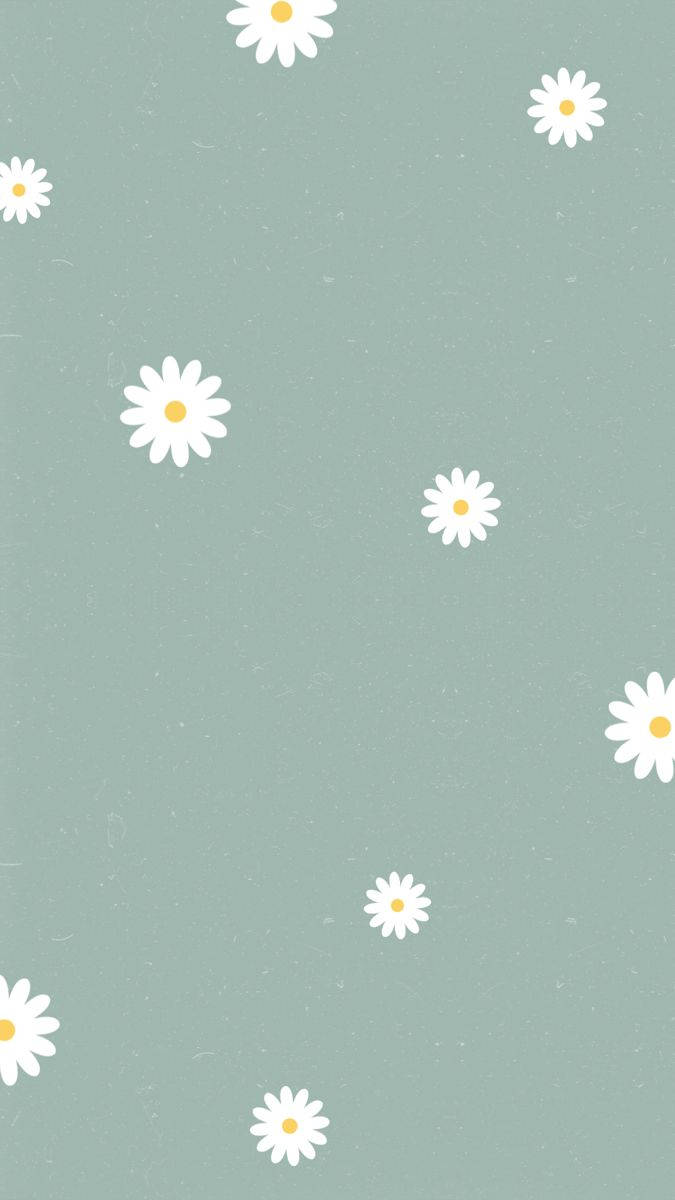 IPhone wallpaper of white daisies on a green background - Android