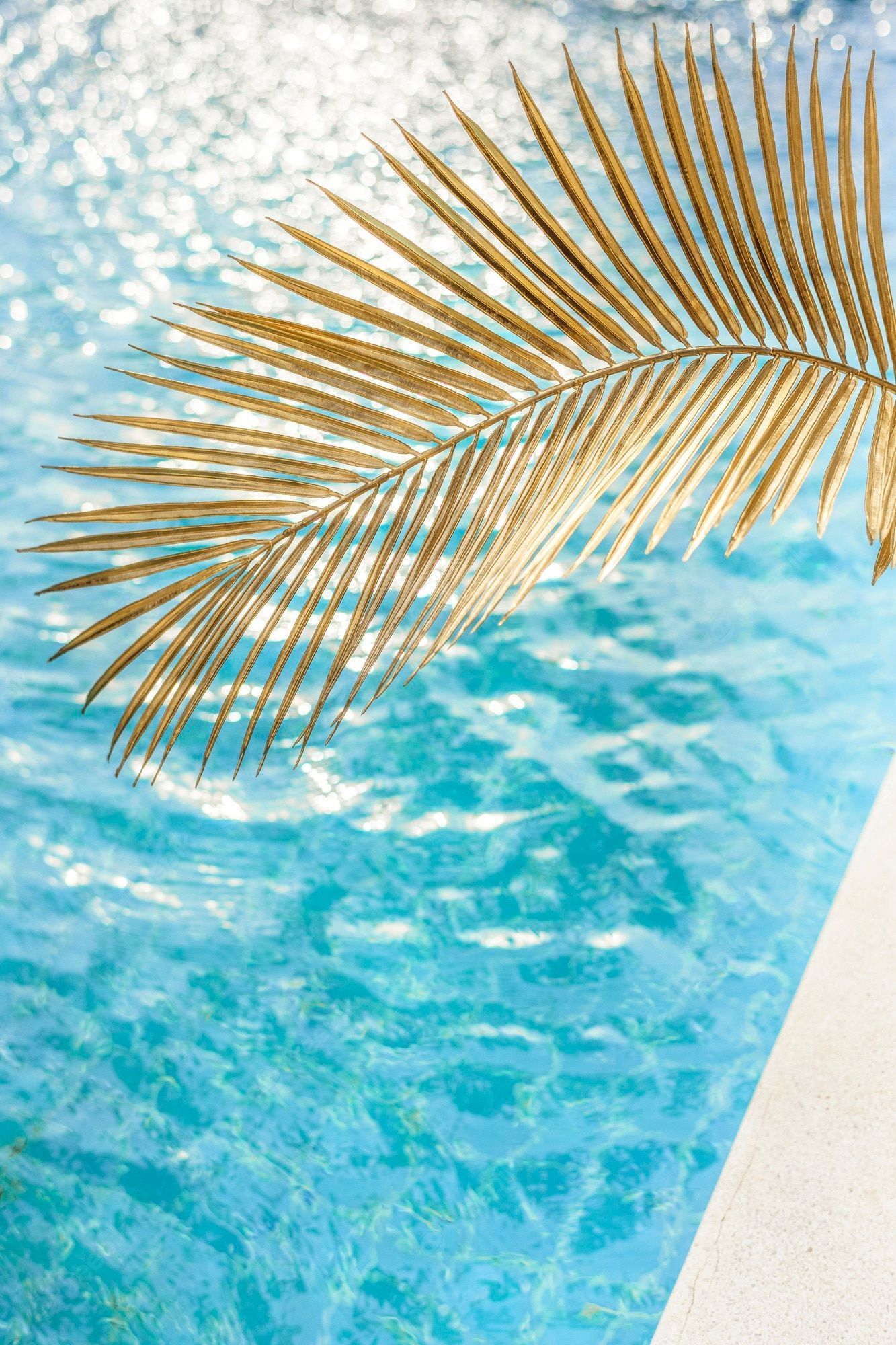 Poolside Background Picture