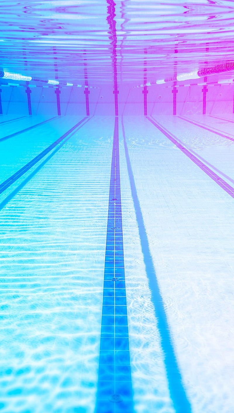 Sports swimming pool, underwater, blue water, 25 meter swimming pool, swimming concepts, HD wallpaper