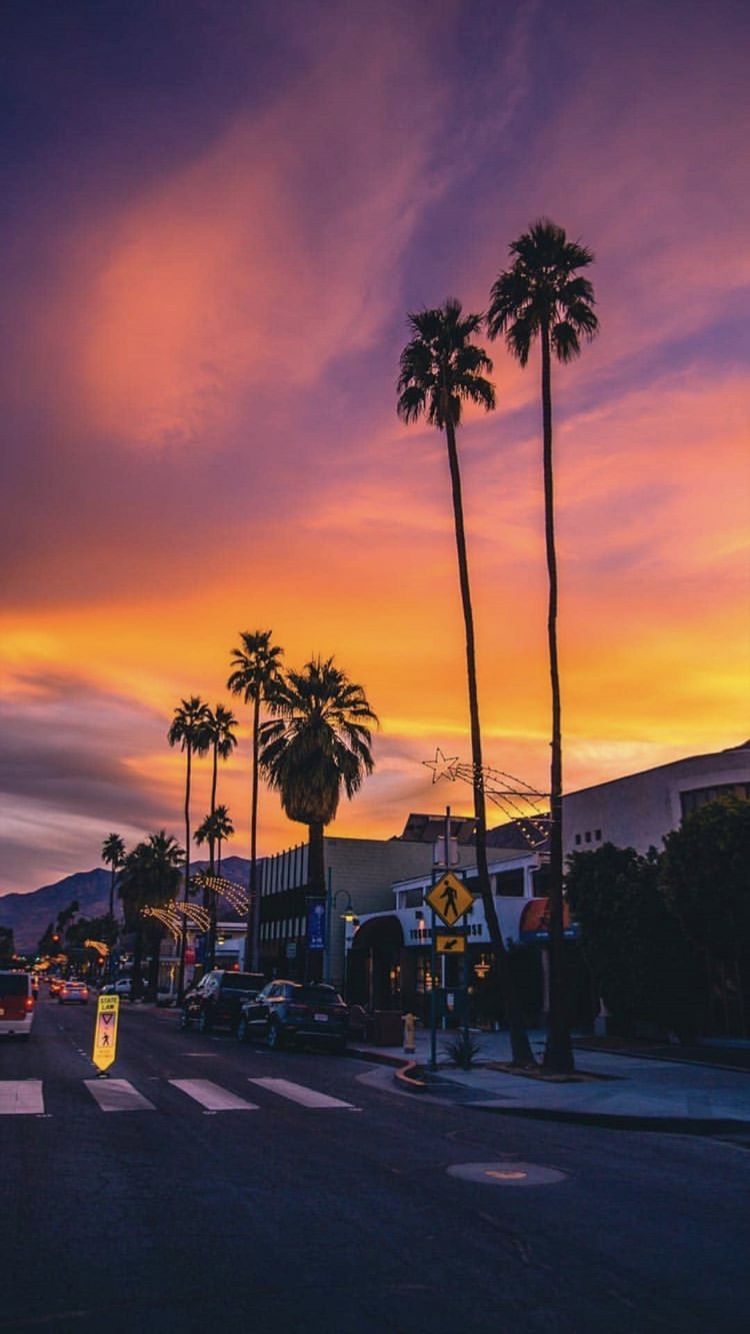 A purple and orange sunset over palm trees and a street - Los Angeles