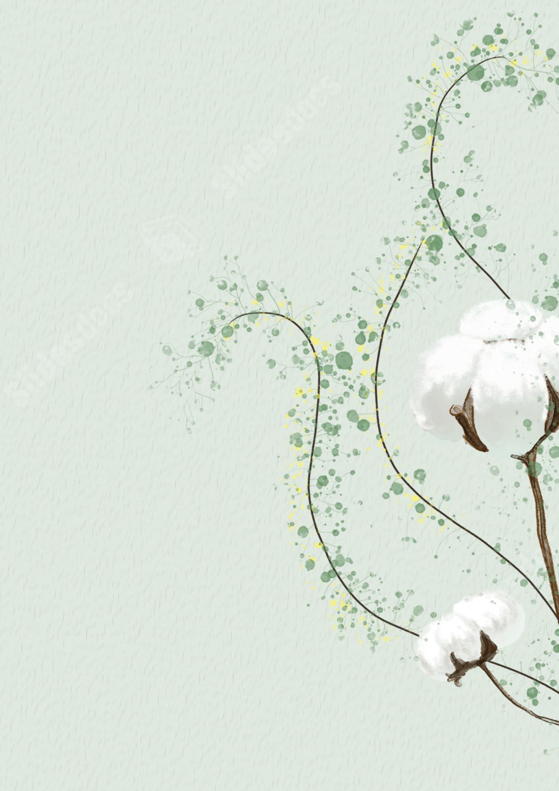 A cotton plant on a green background - Border