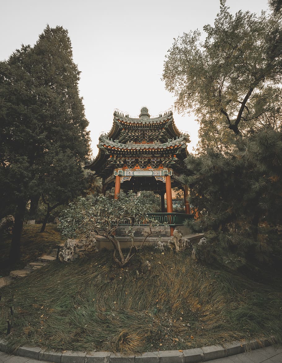 A Chinese pagoda surrounded by trees. - Chinese