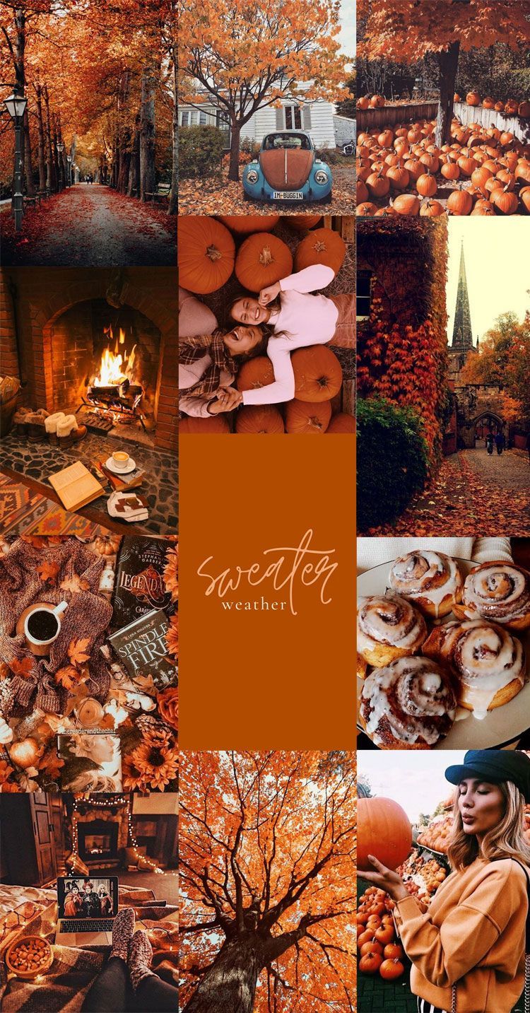 A collage of fall pictures with orange leaves - Cozy, fall, August