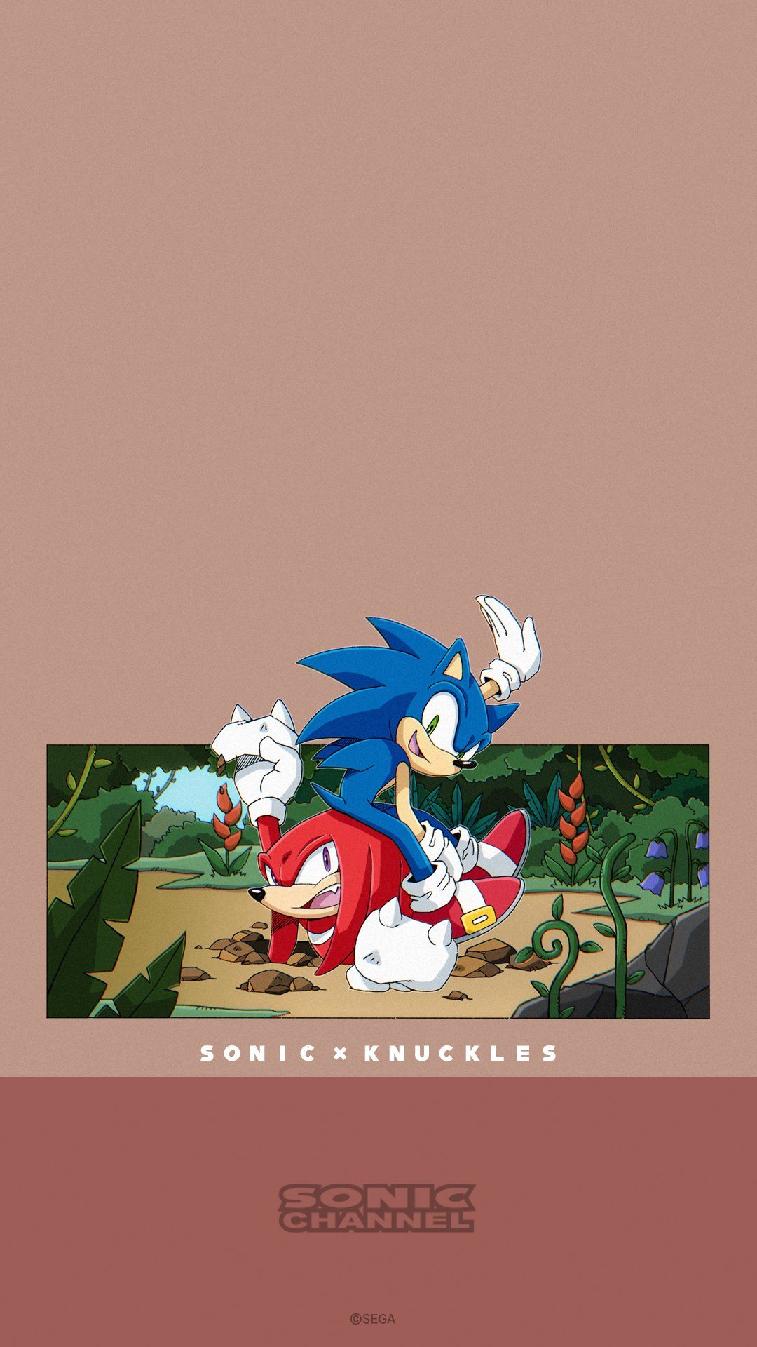 IPhone wallpaper of Sonic and Knuckles from the IDW Sonic the Hedgehog series - Sonic