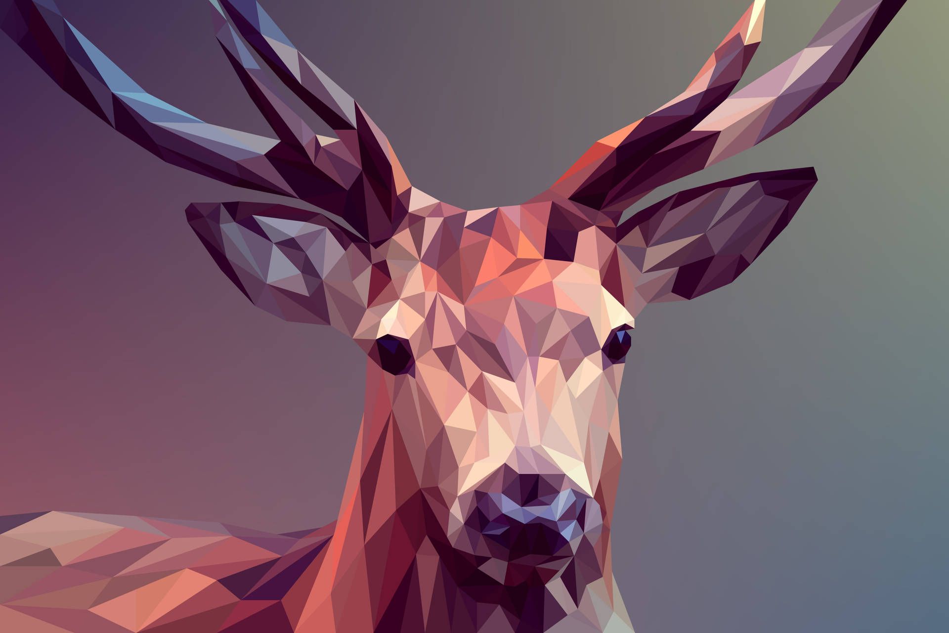 A deer with large antlers on a gradient background - Low poly