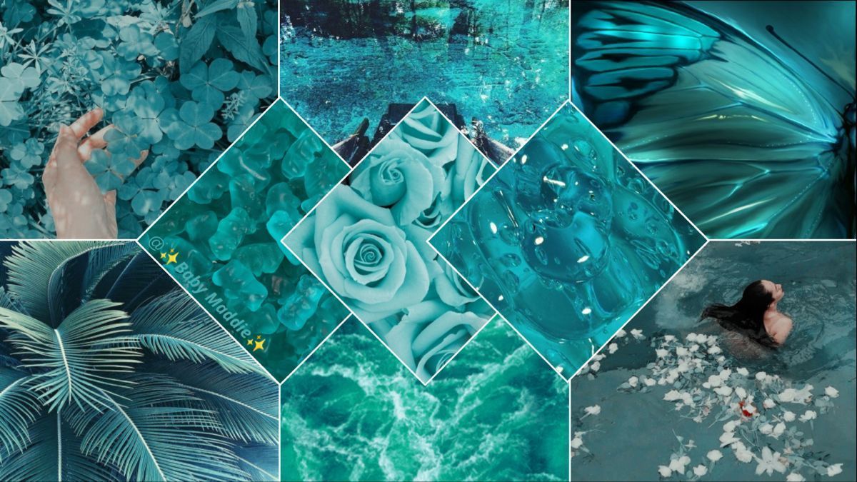 A collage of blue and green aesthetic images including roses, plants, and butterflies. - Aqua