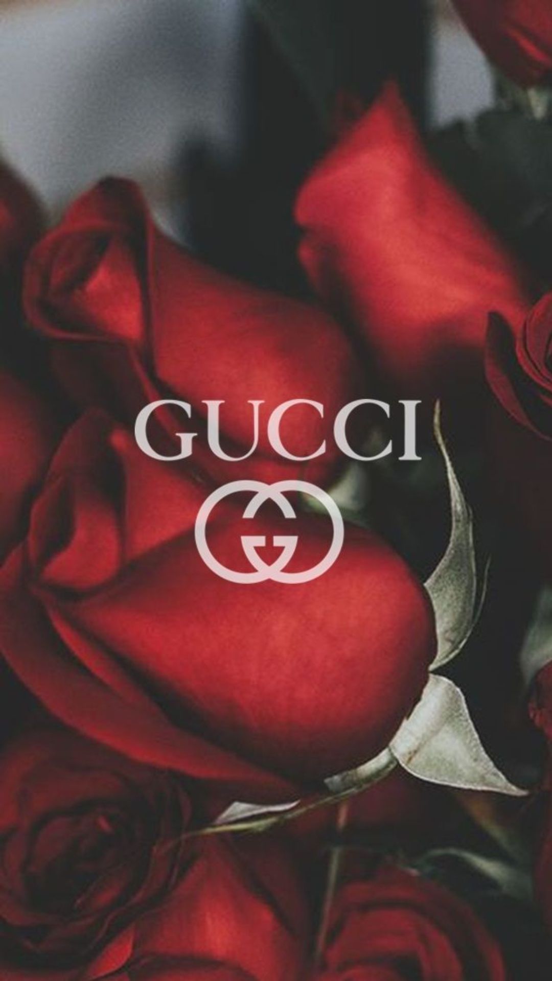 Aesthetic Gucci Wallpaper Aesthetic Gucci Wallpaper [ HQ ]