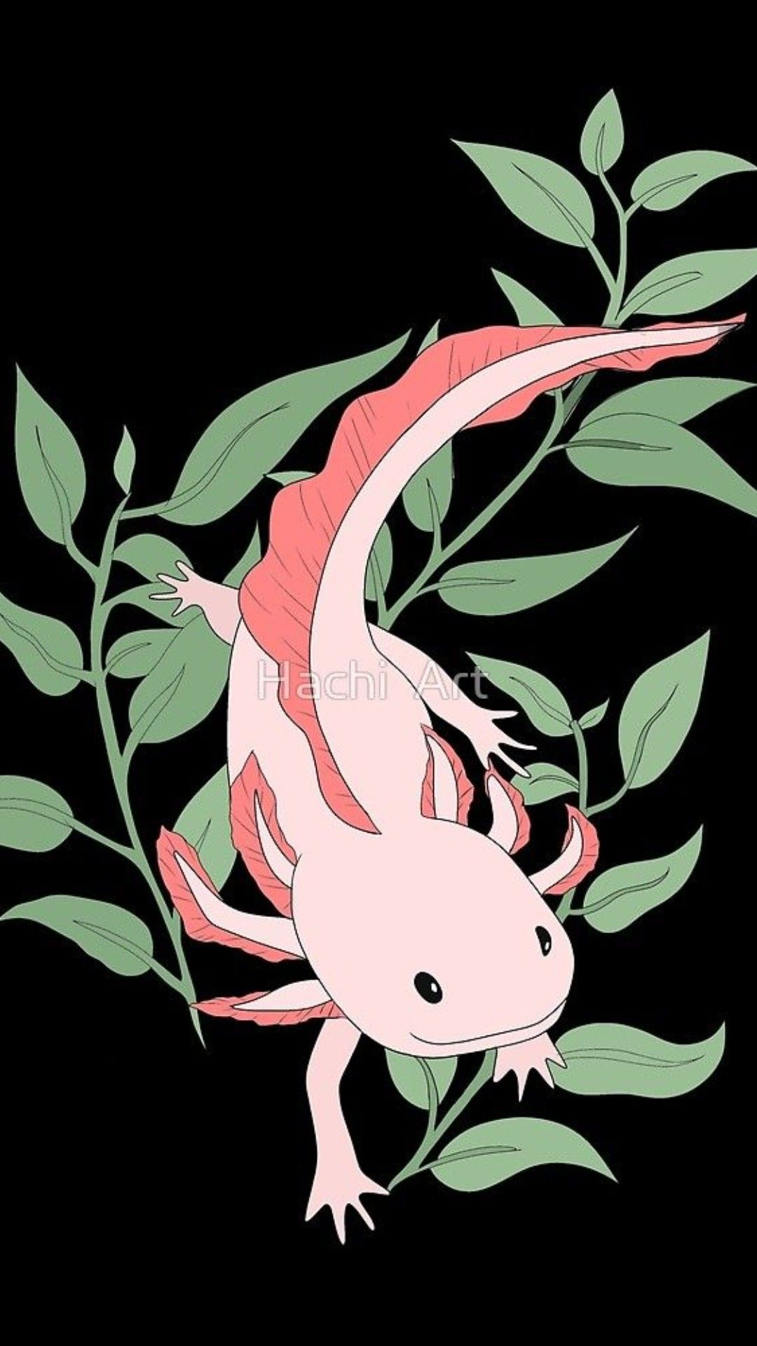Axolotl Wallpaper: Best Axolotl iPhone Wallpaper [ HQ ]