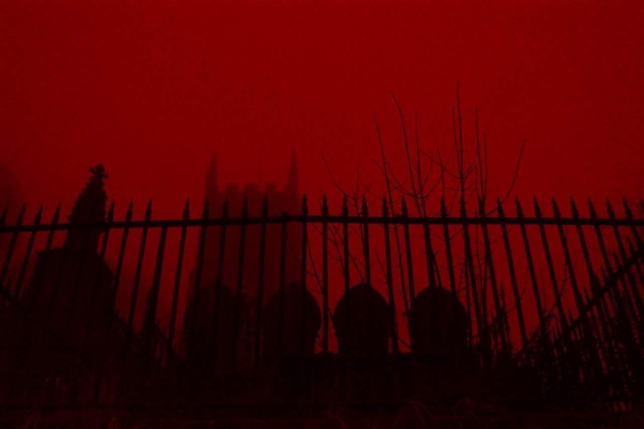 A Vampire Blog. Red aesthetic, Red aesthetic grunge, Red wallpaper