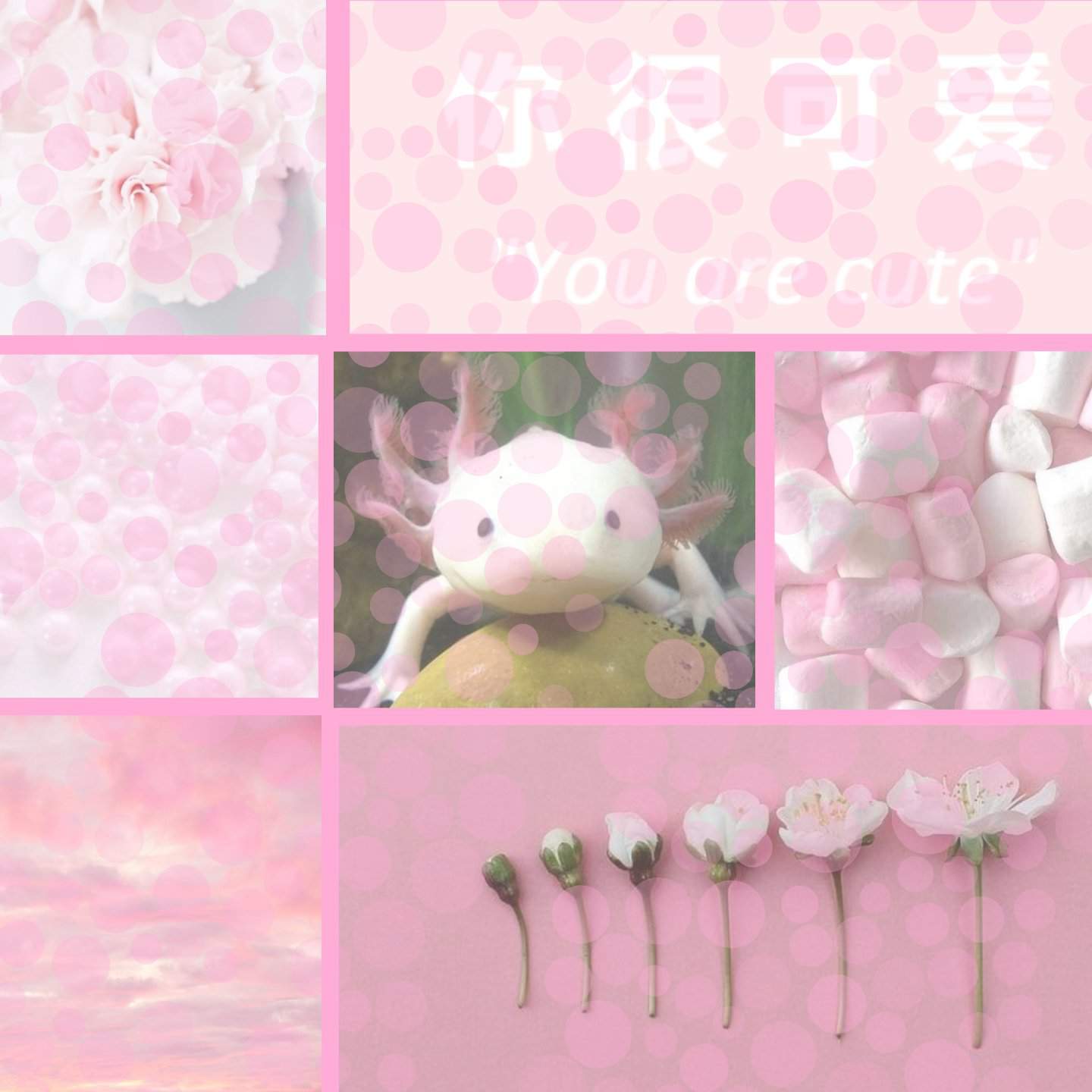 Axolotl Aesthetic Wallpaper