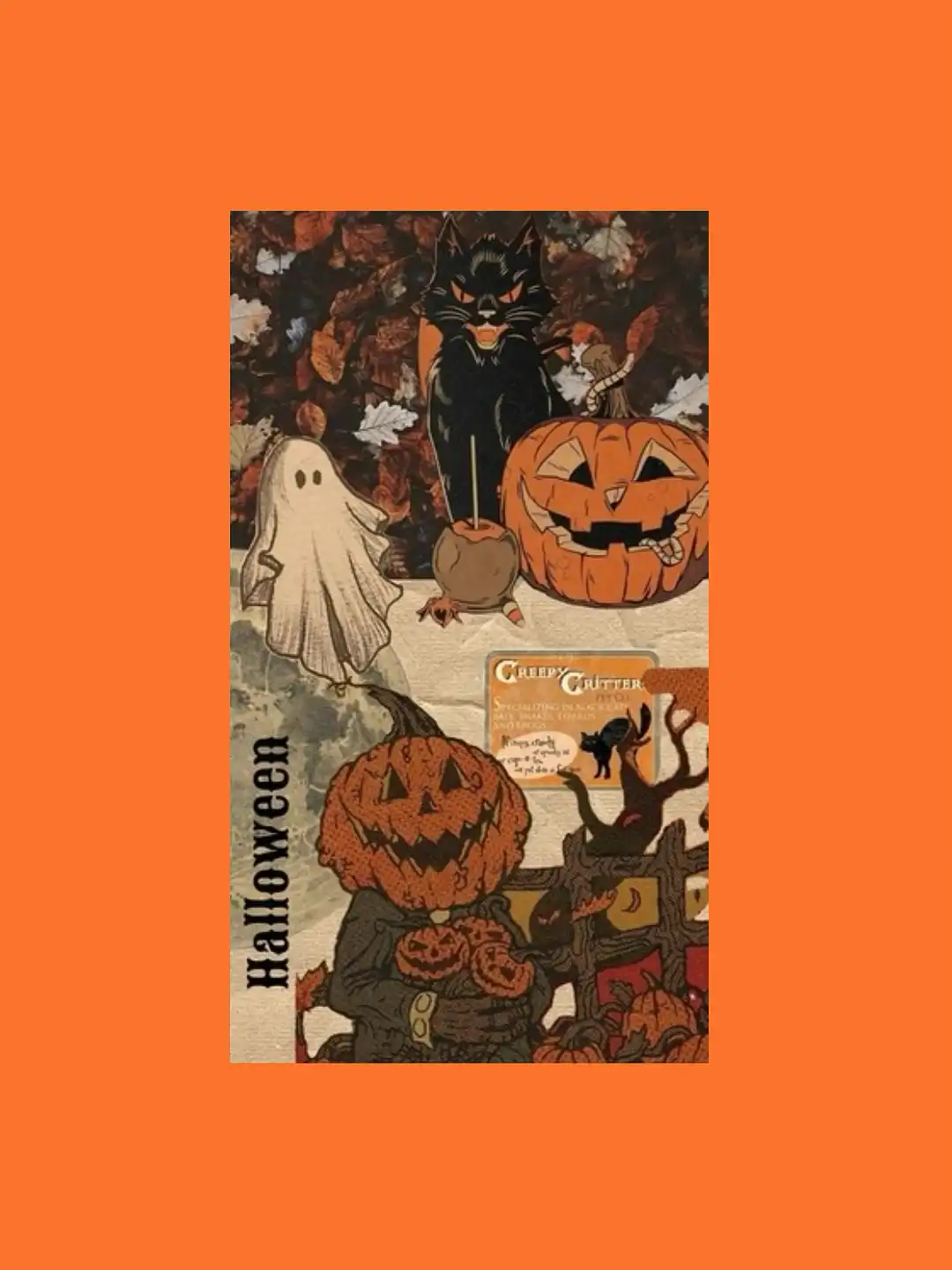 A vintage Halloween postcard with a black cat, ghost, and jack-o-lanterns. - Spooky