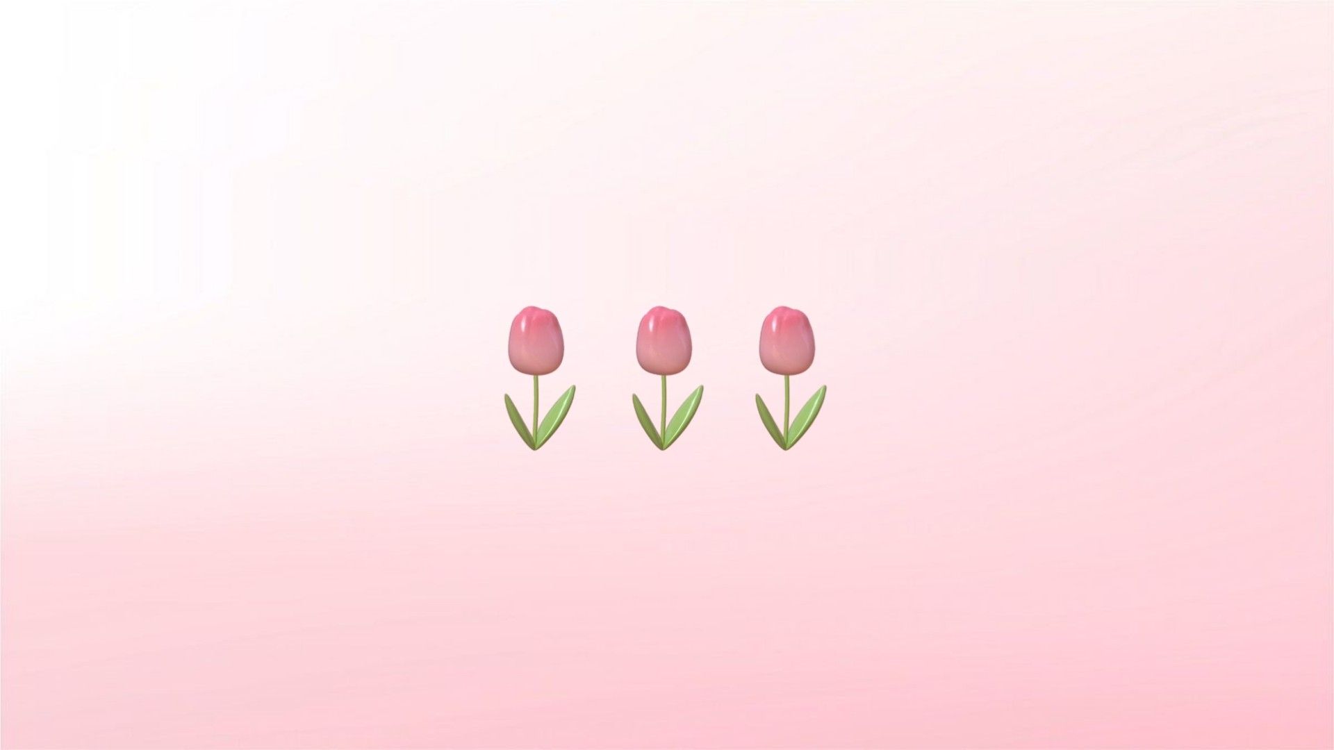Tulips wallpaper for your phone and desktop. - Coquette
