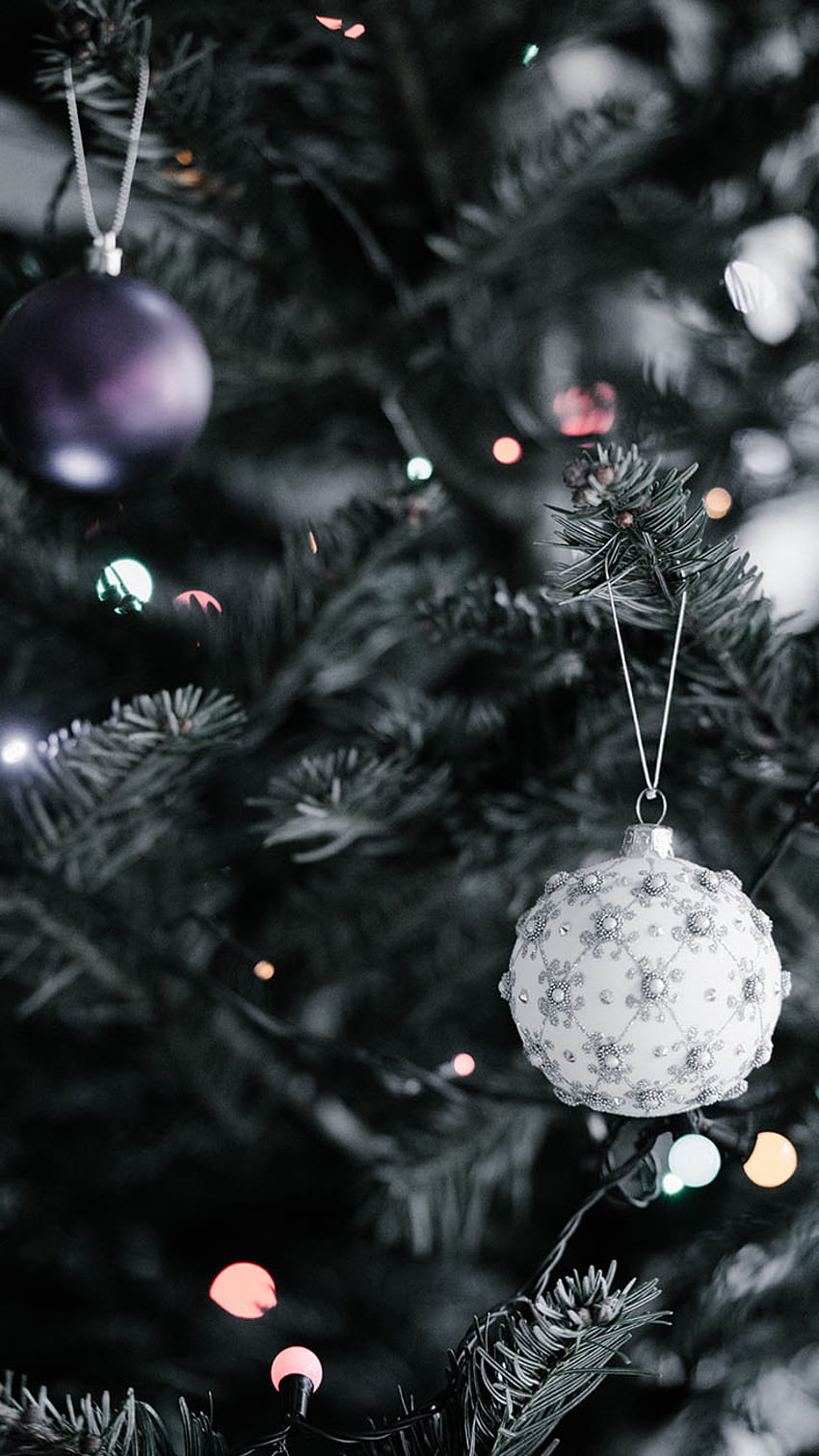 A close up of a Christmas tree with a white ornament hanging from it. - White Christmas