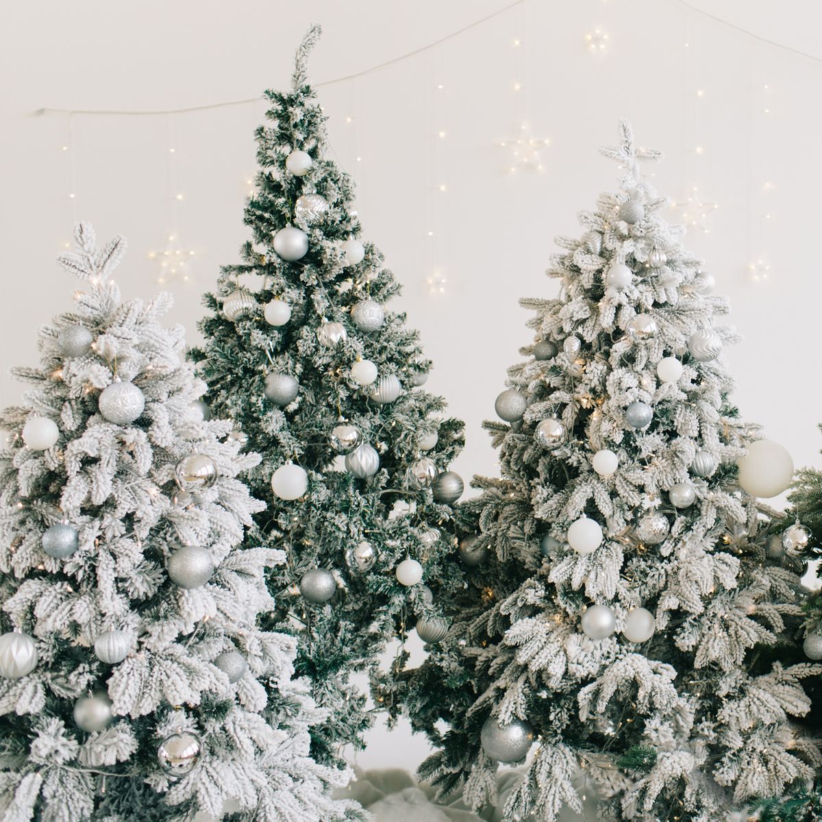 Christmas trees with white and silver ornaments in a white room - White Christmas