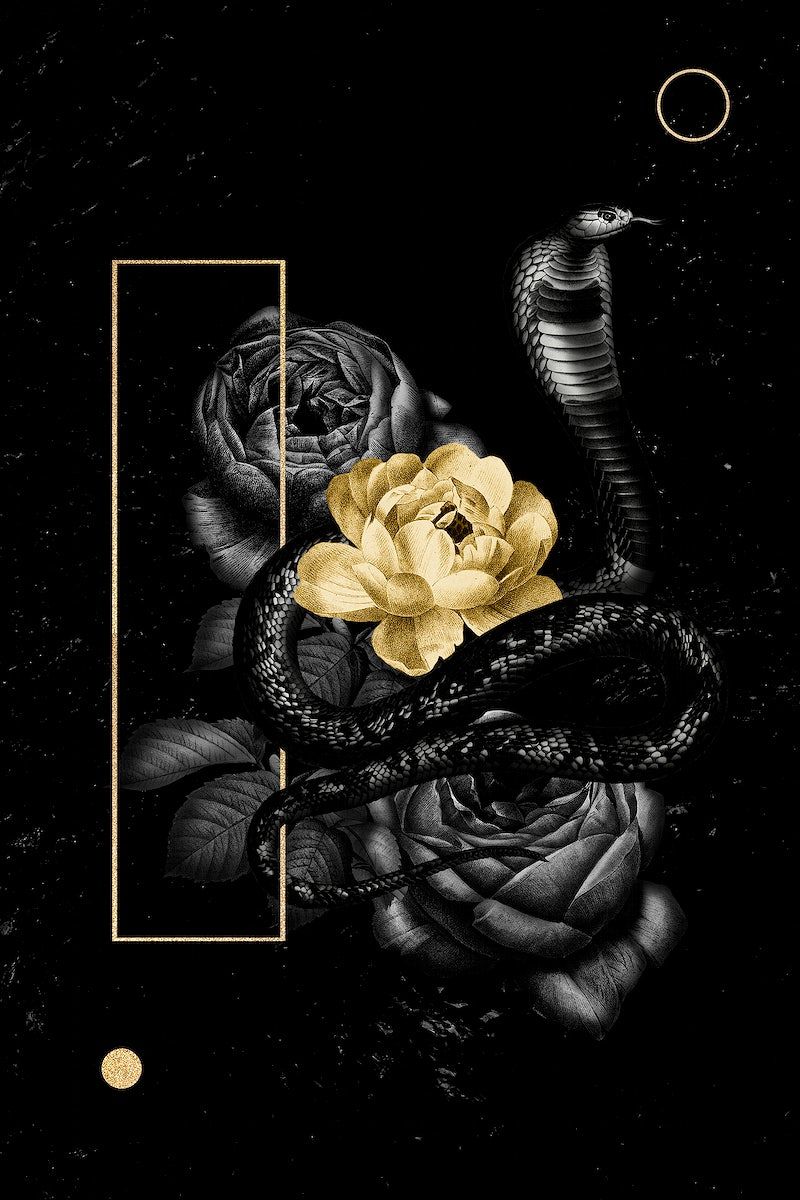 Black and gold illustration of a snake, roses and a flower - Snake