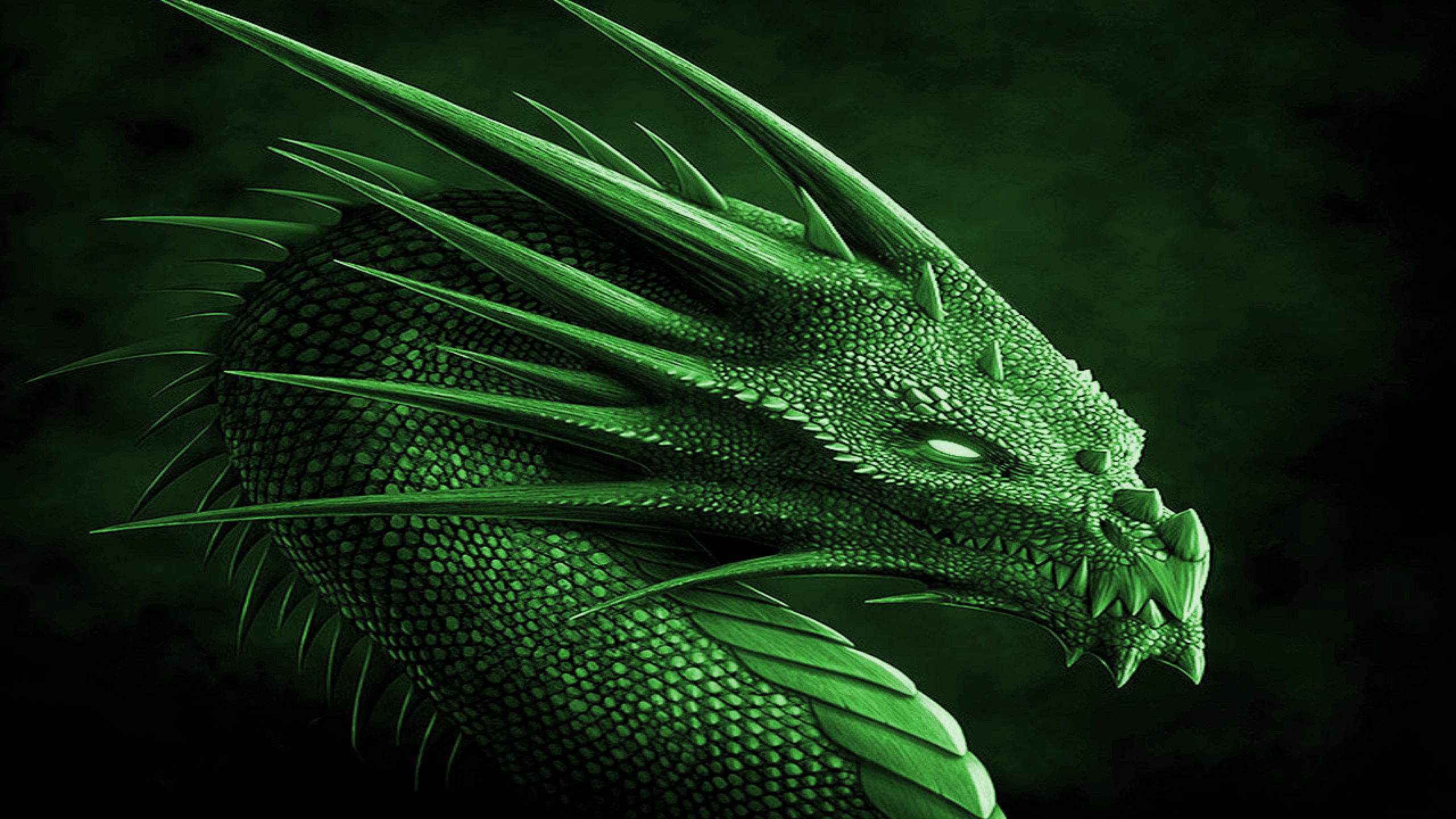Green dragon wallpaper - photo#20 - Snake