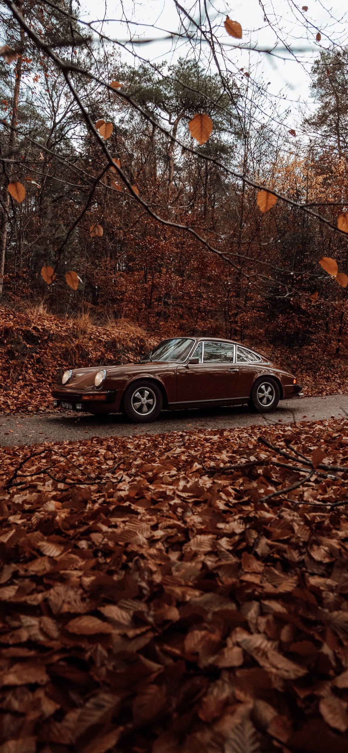 1080x2340, Porsche 911, 1967, 911, classic car, vintage car, autumn, leaves, forest, trees - Cars