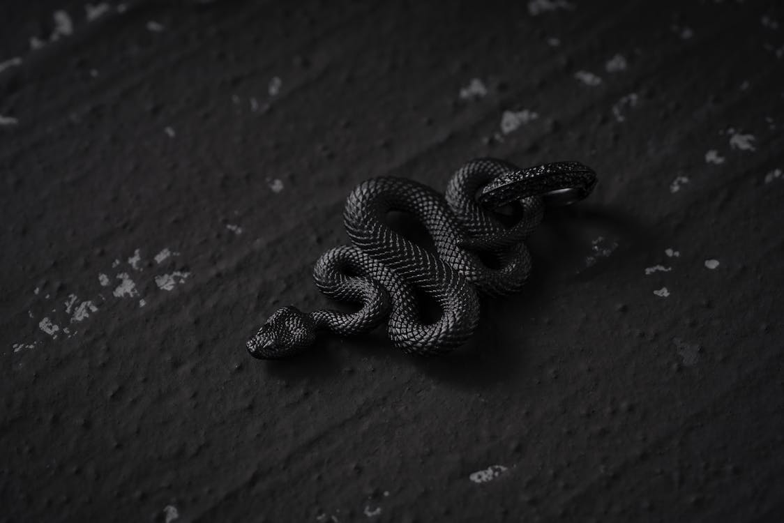 A black snake pendant on a black stone background - Snake