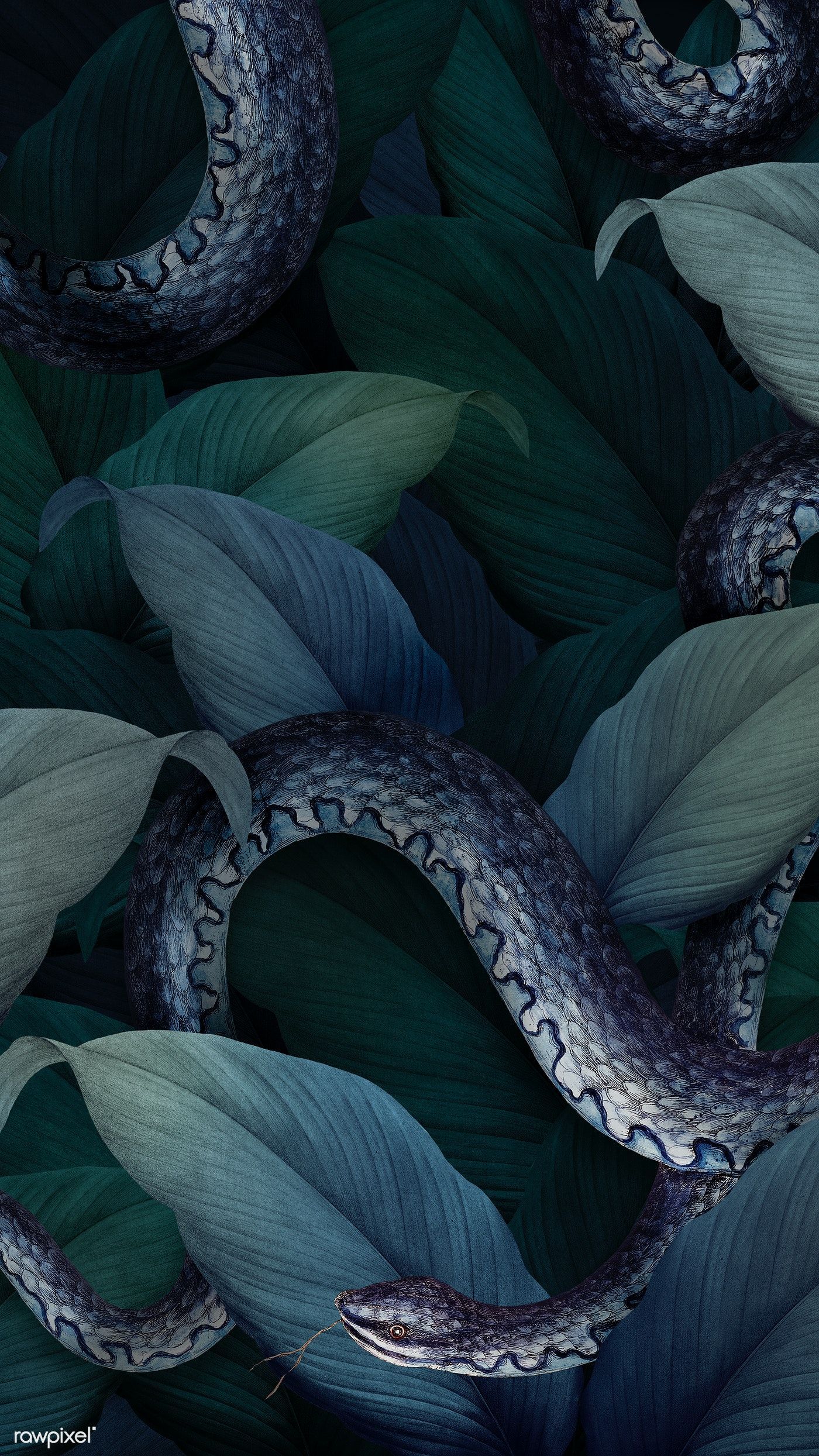 Snake on a leafy background. premium image / Awirwreckkwrar. Snake wallpaper, Snake painting, Snake art
