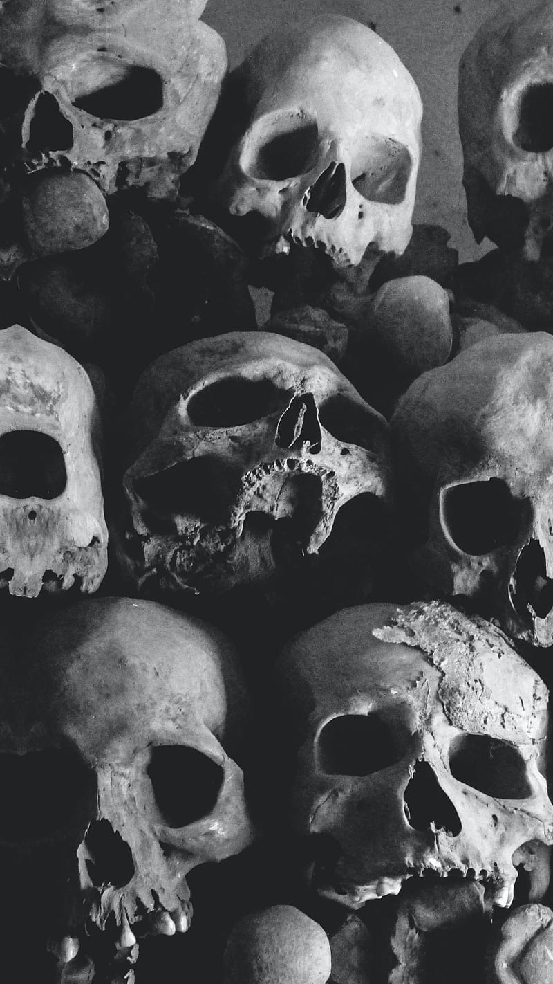 Black and white photograph of a pile of human skulls. - Skull