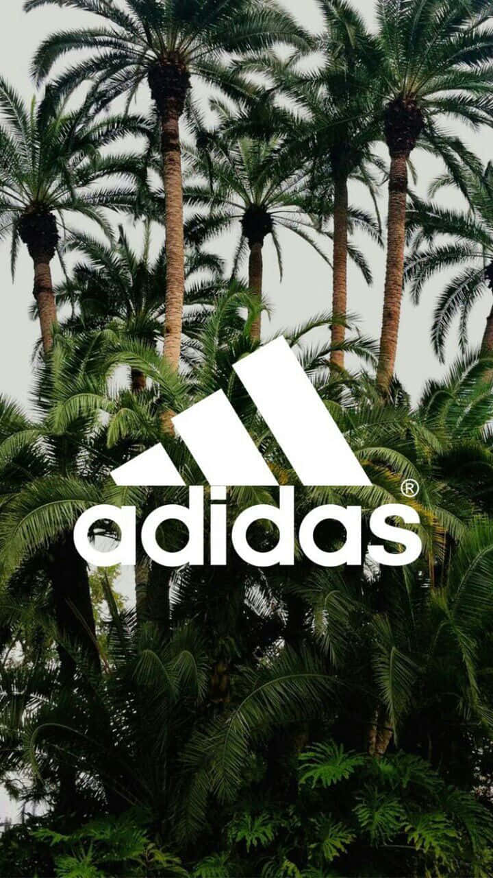 Download Aesthetic Palm Trees Adidas Logo Wallpaper