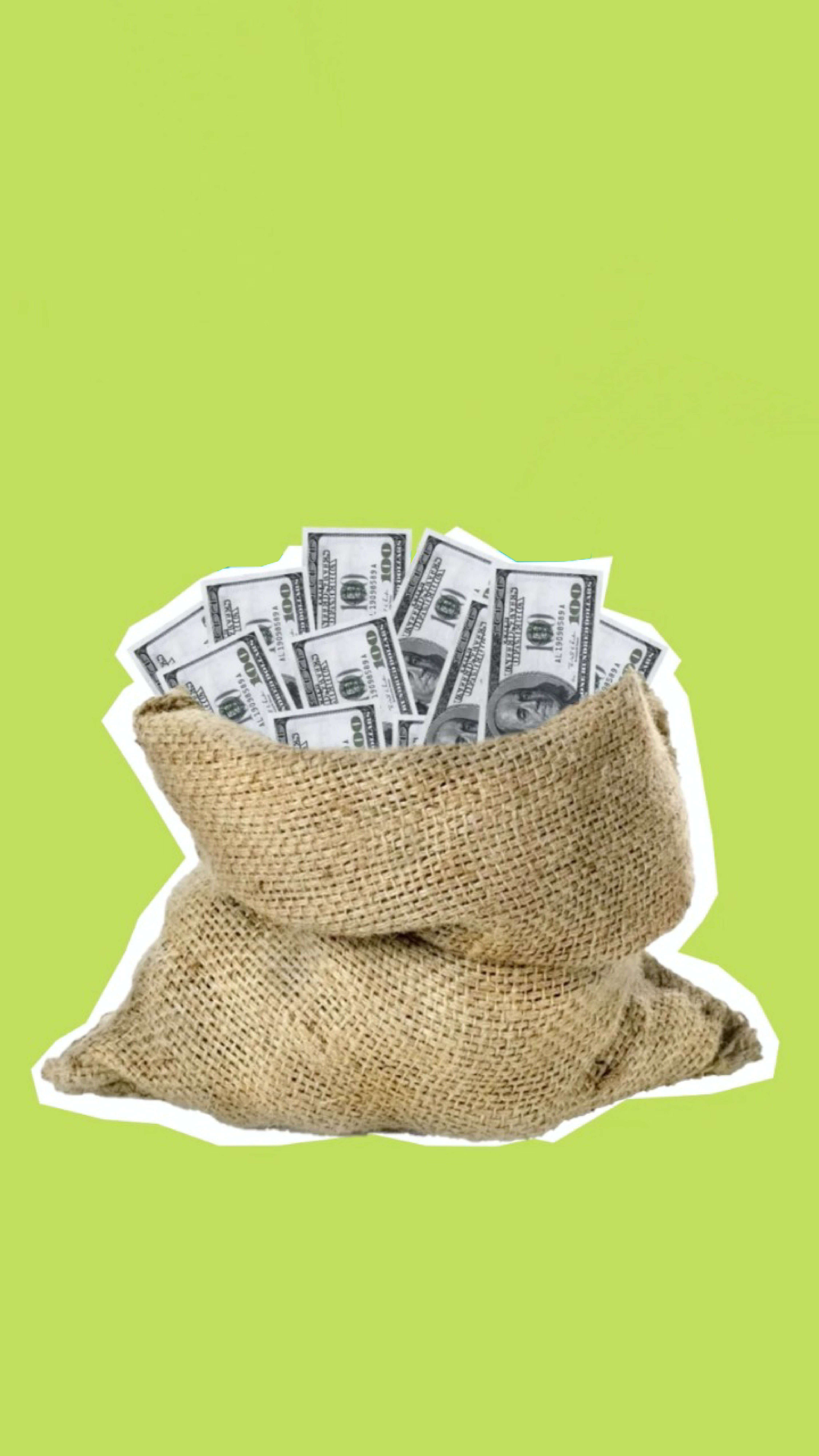 A bag full of money on a green background - Money