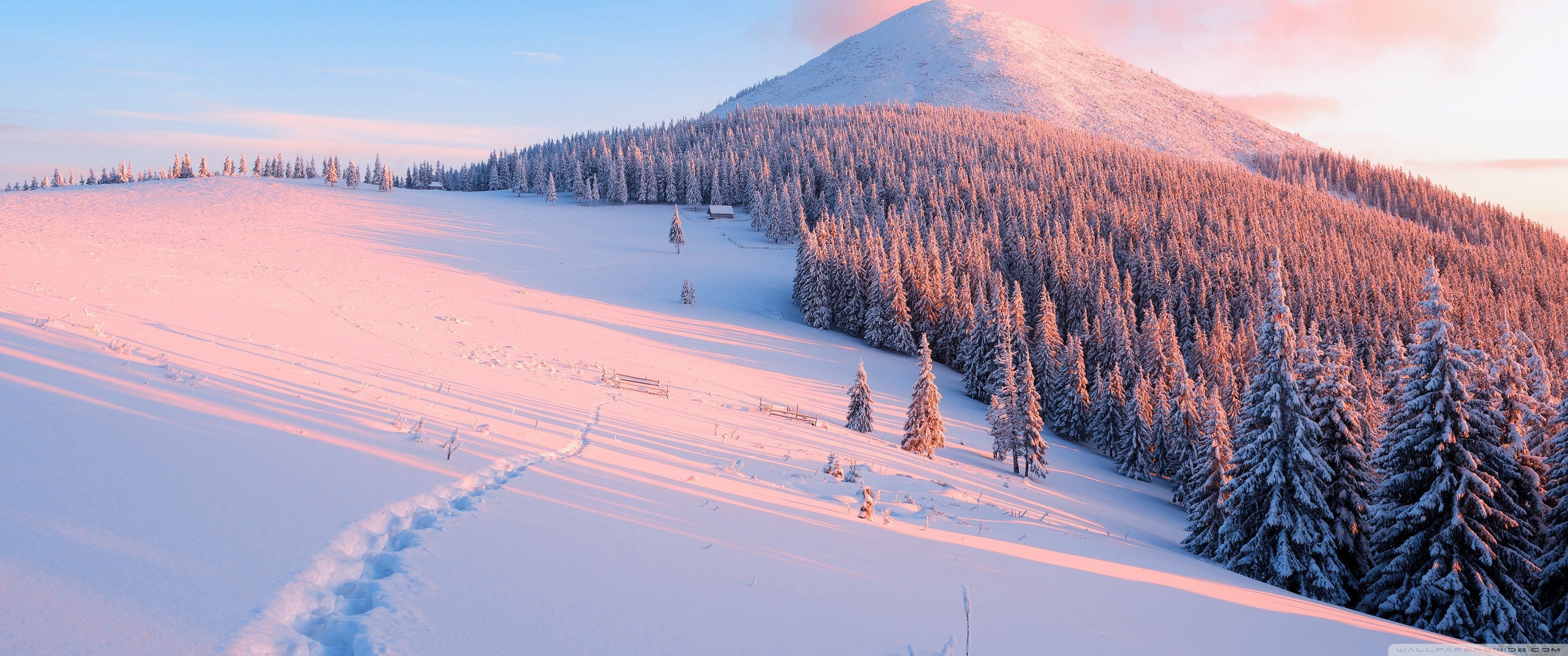 A snow covered mountain with trees and footprints in the snow. - 3440x1440, snow