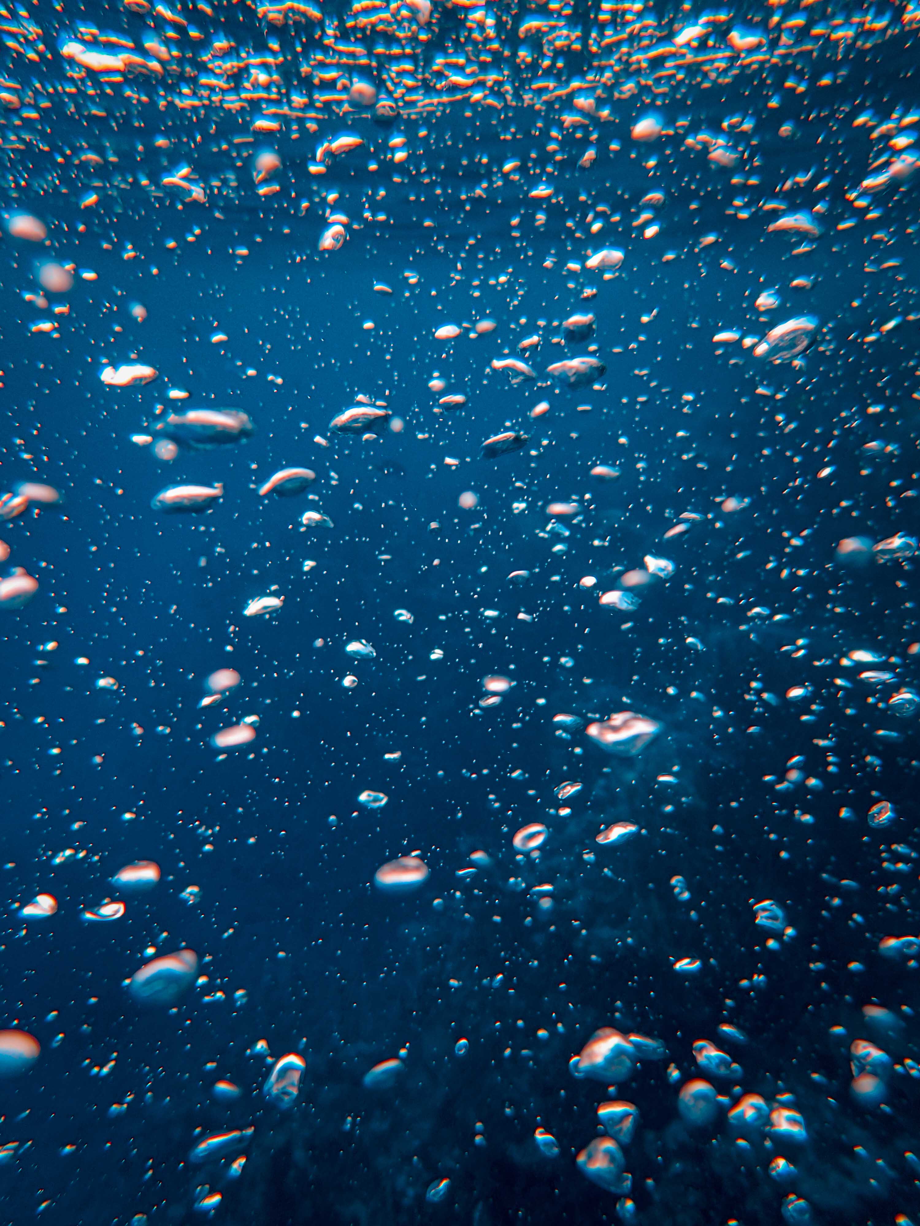 Photo Of Bubbles Underwater · Free