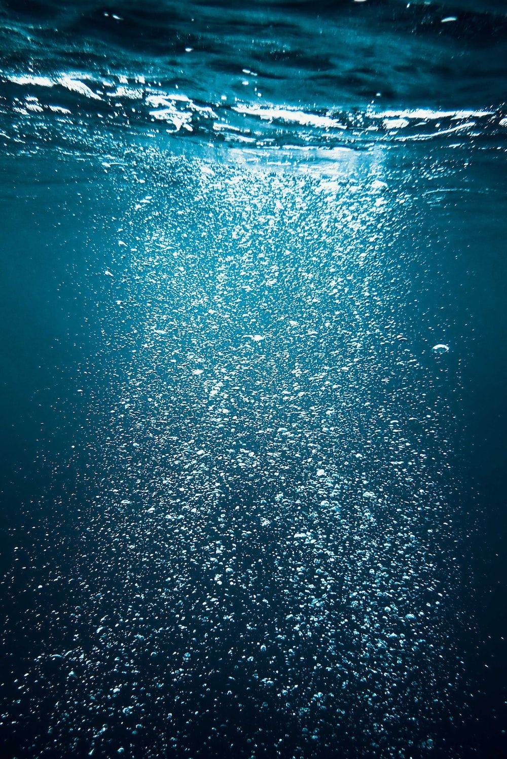 An underwater view of the ocean with bubbles photo