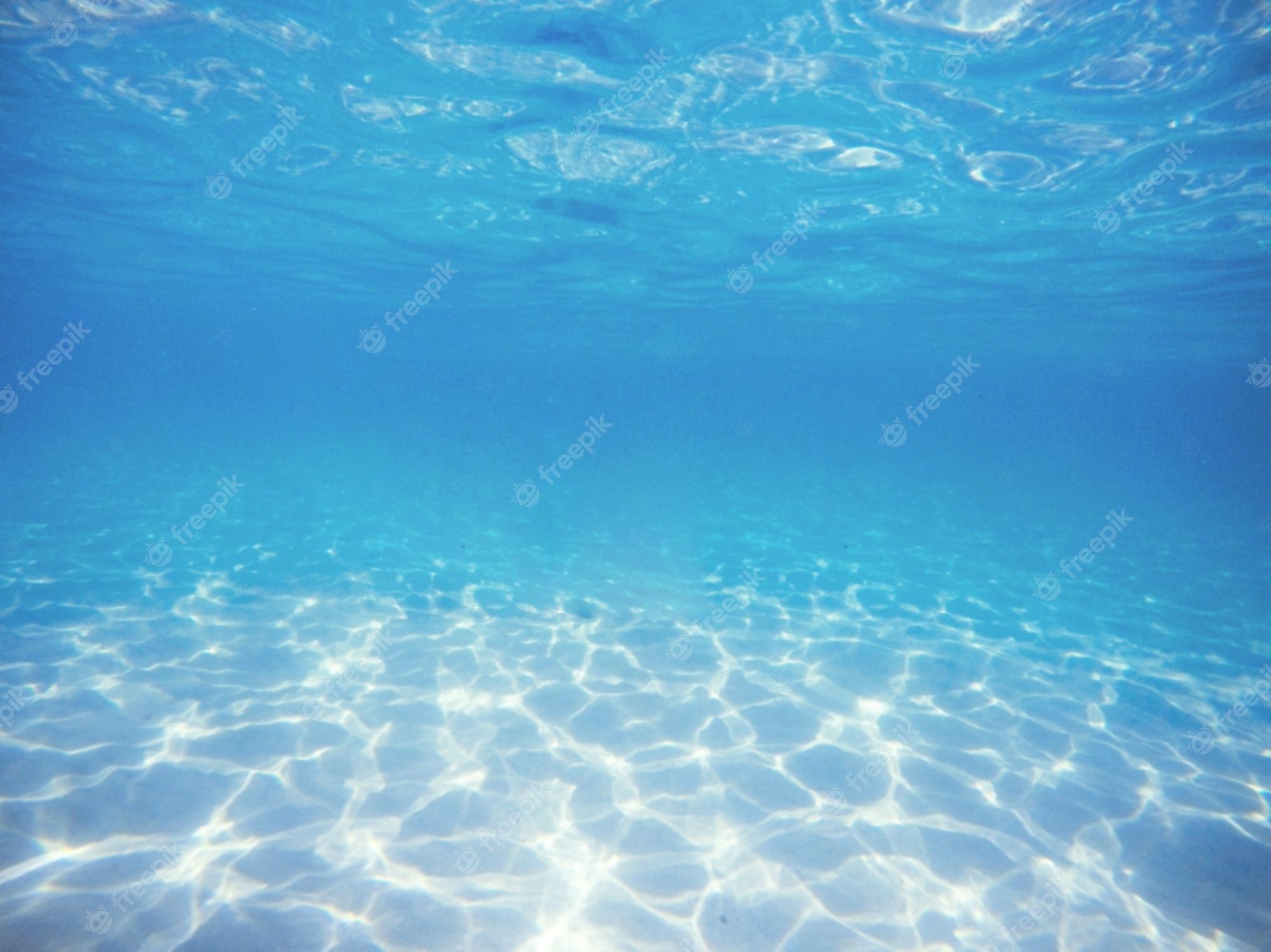 Underwater view of a clear blue sea - Underwater