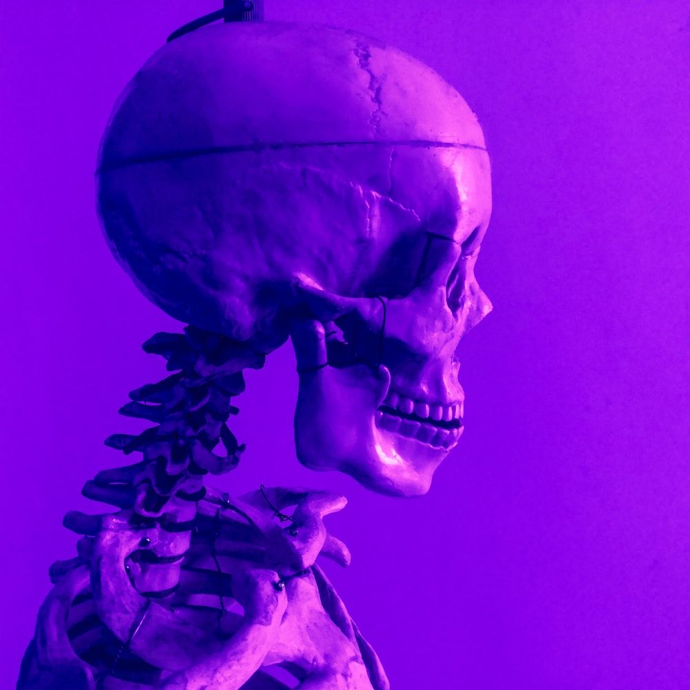 A purple skeleton in a purple room - Skeleton