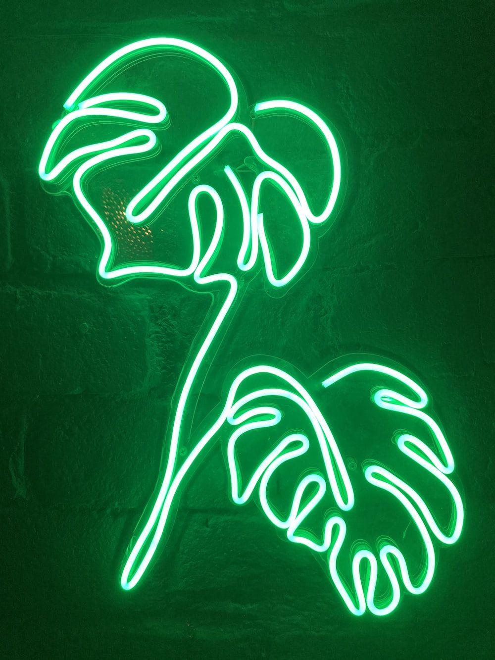 A neon sign of a leaf against a green wall - Neon green