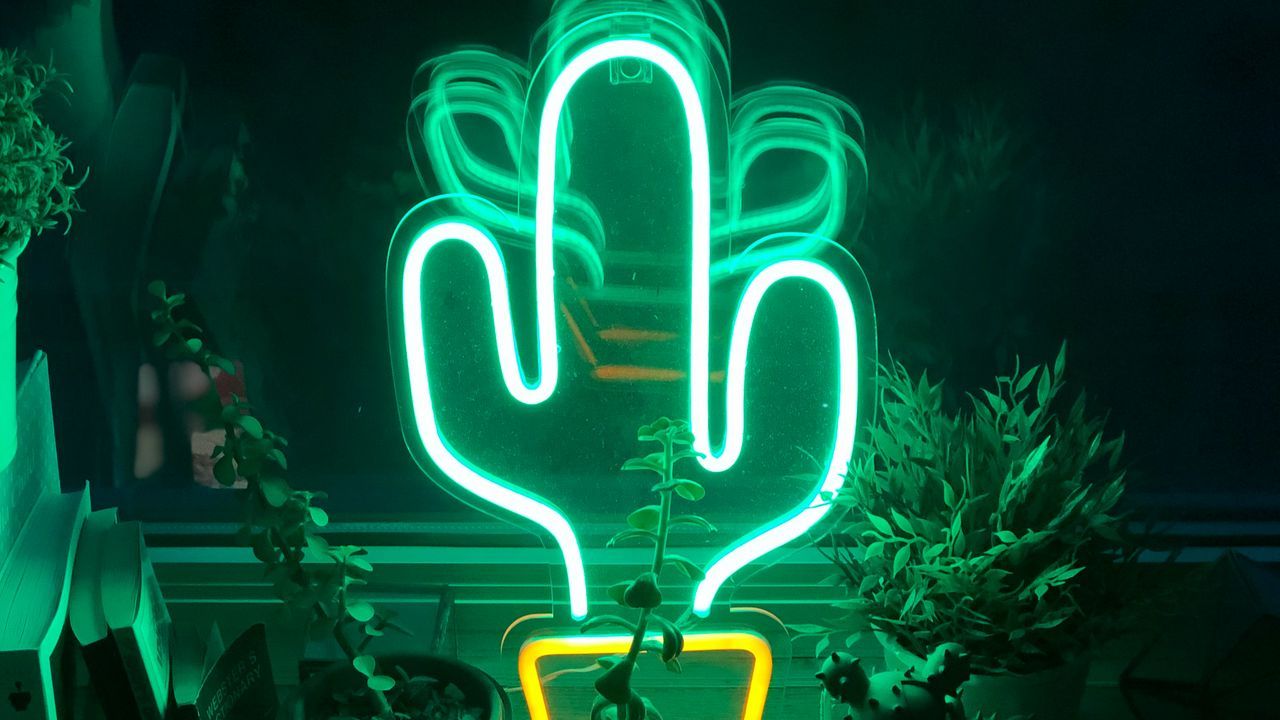 A neon sign of a cactus. - Neon green