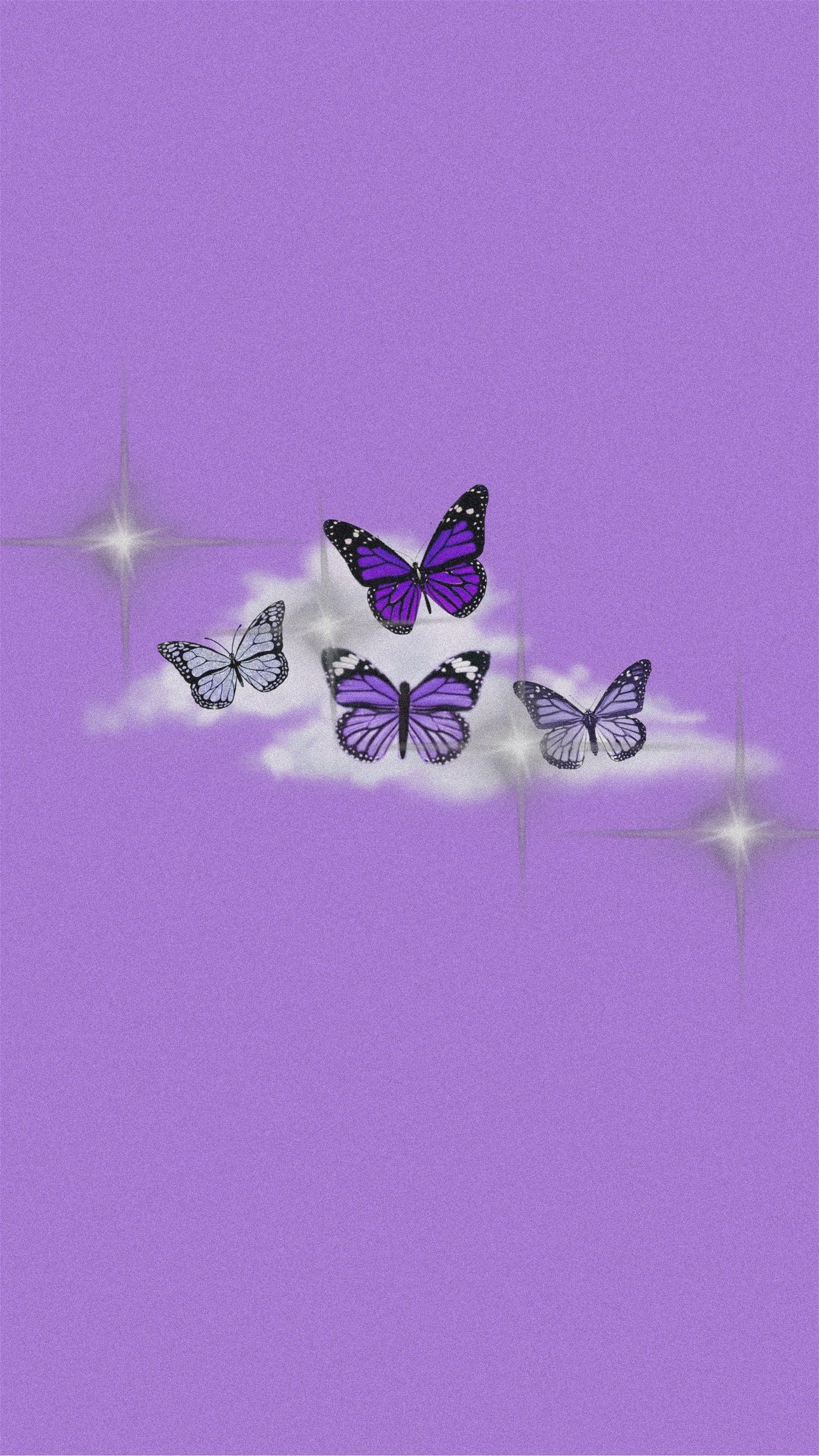 Four purple butterflies on a purple background - Butterfly, cute purple