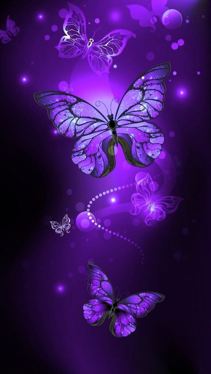 Purple butterflies on a purple background - Butterfly