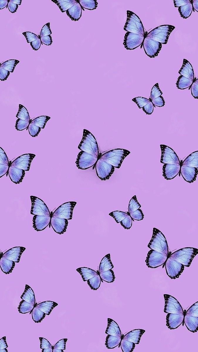 Blue and pink butterfly wallpaper. Butterfly wallpaper, Butterfly wallpaper background, iPhone wallpaper yellow