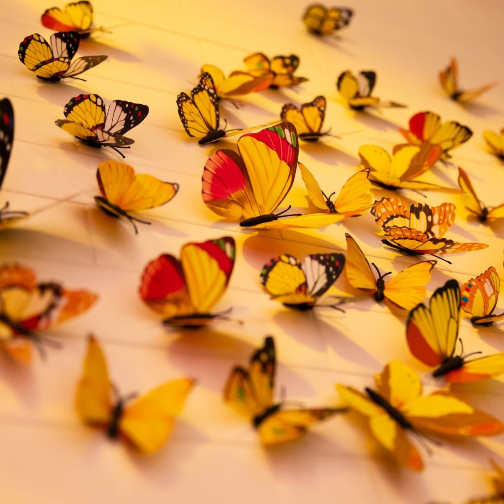 A collection of yellow butterflies on a white background. - Butterfly