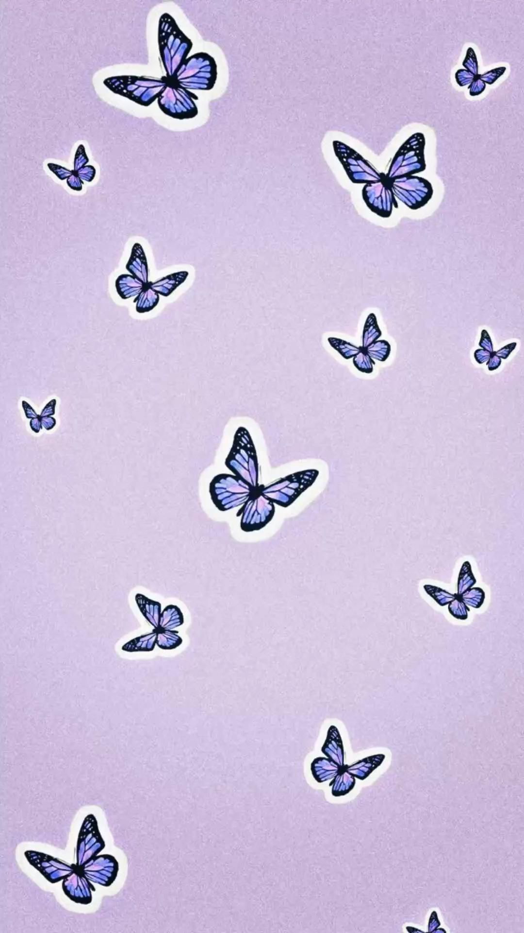 Butterfly aesthetic wallpaper. Butterfly wallpaper iphone, Purple wallpaper iphone, Purple butterfly wallpaper